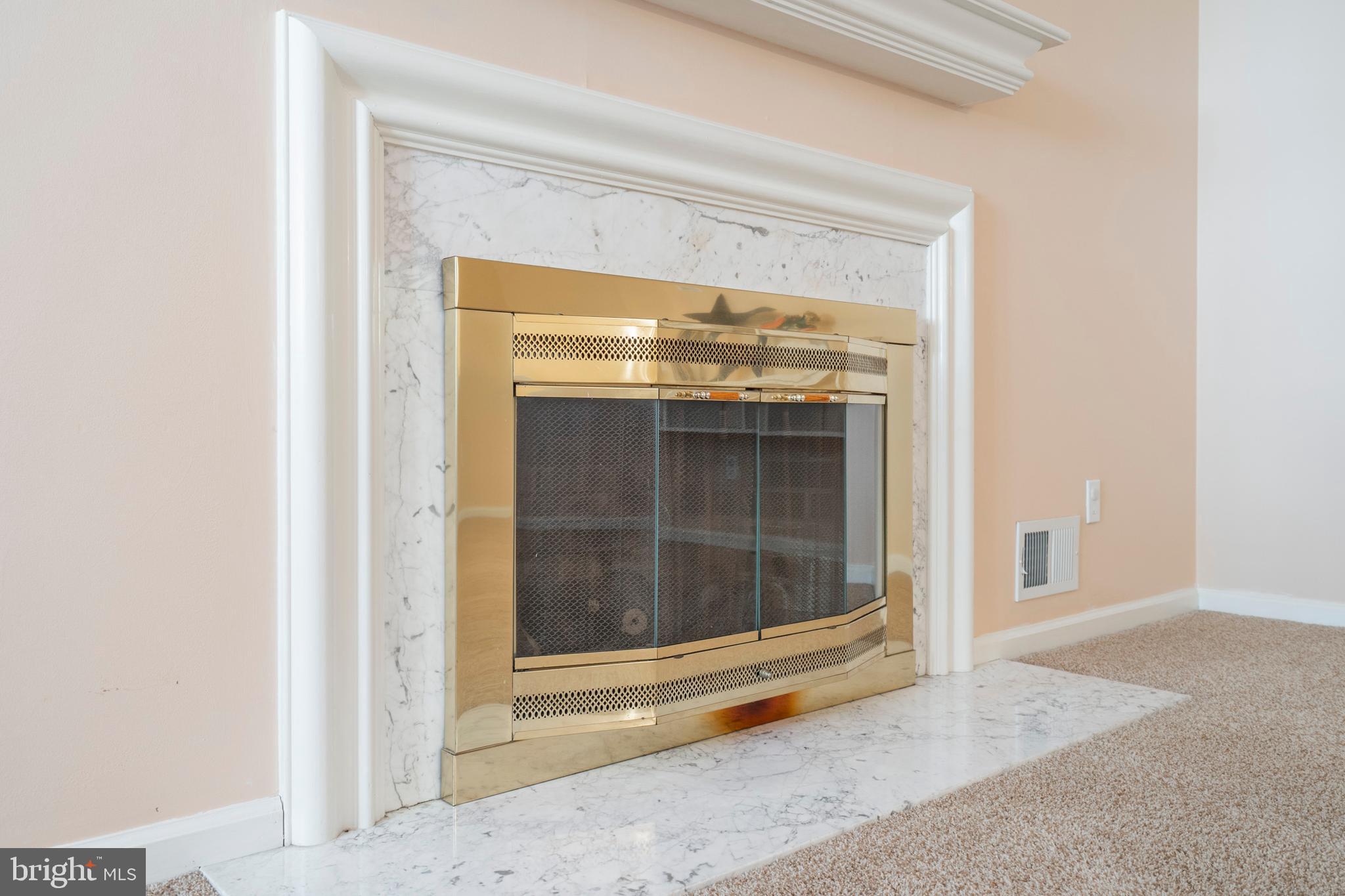 Fireplace in Great room  with gas logs