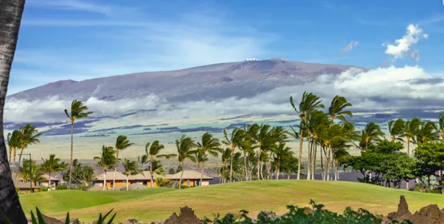 a view of a big yard