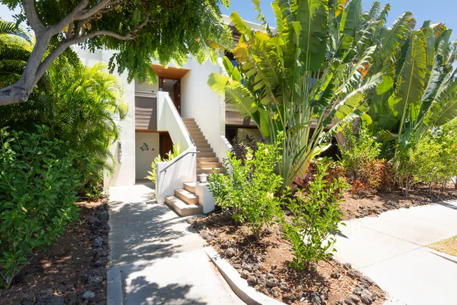 a view of a house with a tree
