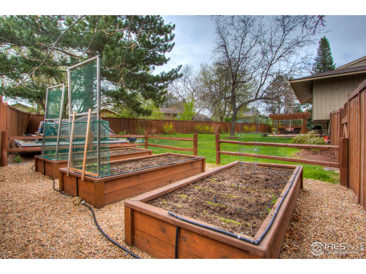 3616 Terry Ridge Road Fort Collins, CO 80524 - Photo 27 of 33 Raised Beds