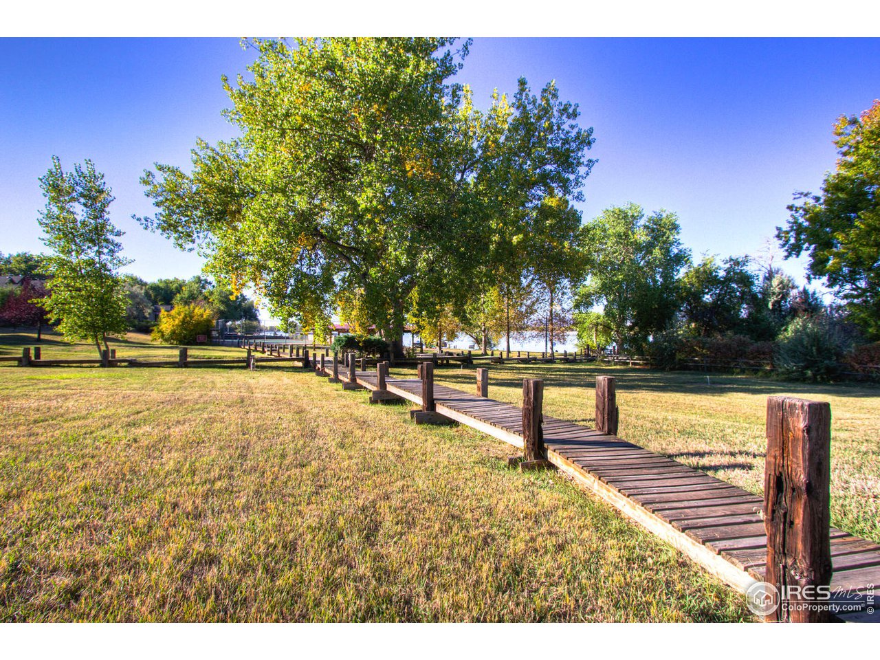 3616 Terry Ridge Road Fort Collins, CO 80524 - Photo 31 of 33 Park