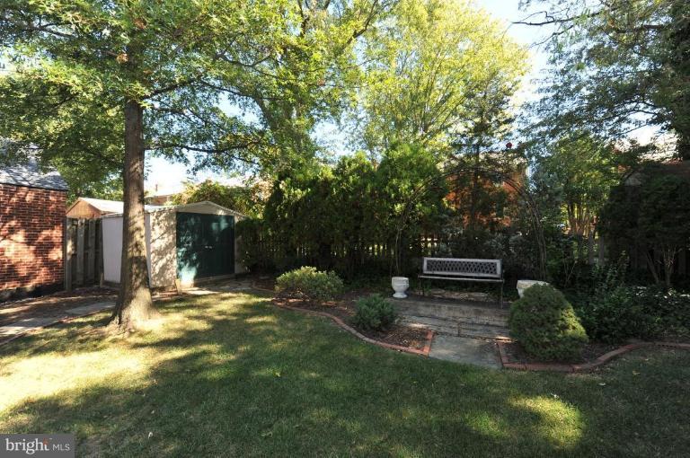 2503 Farm Road Alexandria, VA 22302 - Photo 23 of 25 Back yard