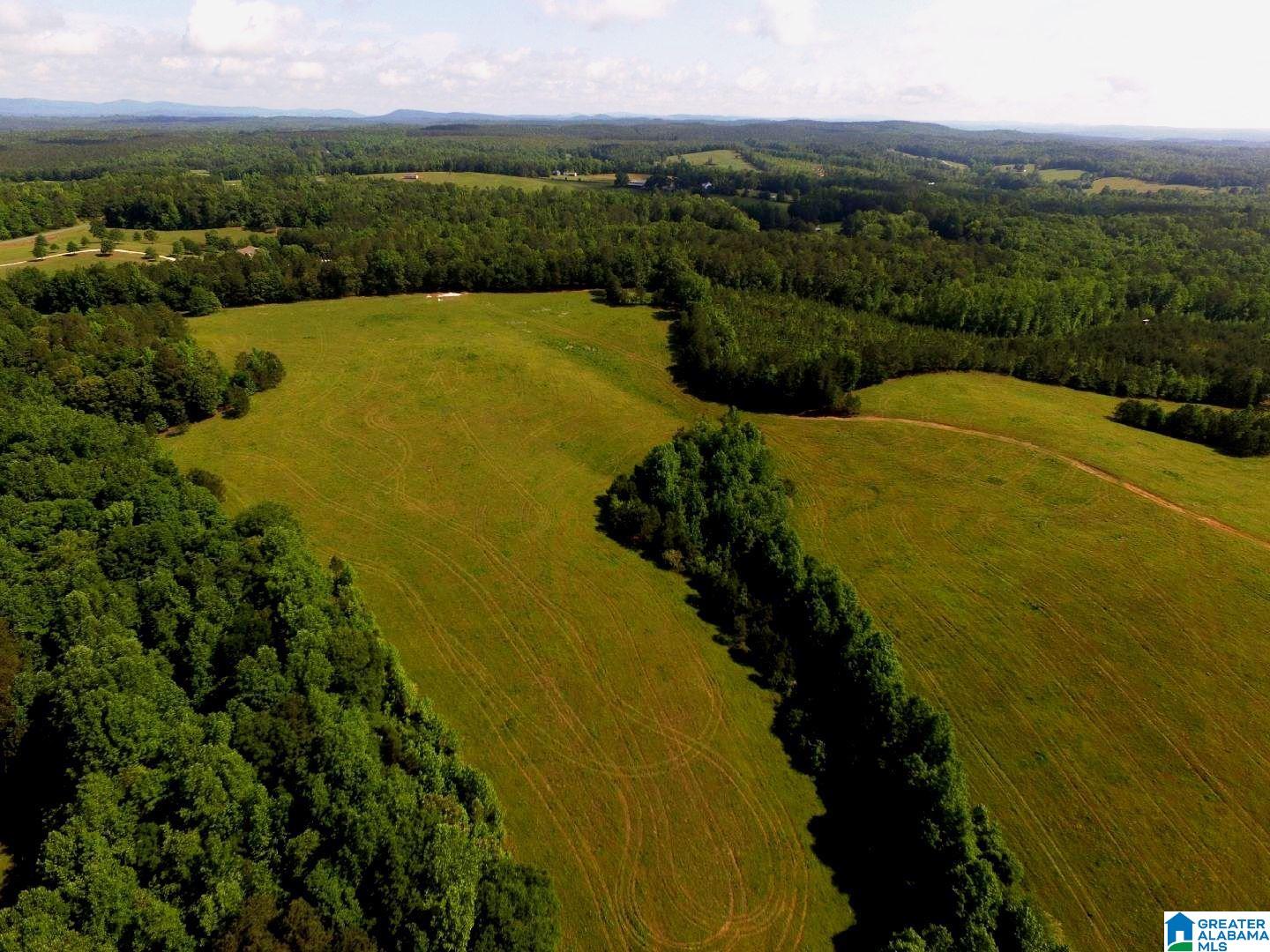 Oaks Chapel Road, Unit 76 Goodwater, AL 35072 - Photo 5 of 25