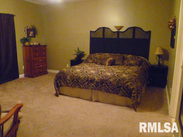 8687 Kinlou Road Kinmundy, IL 62854 - Photo 7 of 21 Gallery Image 7