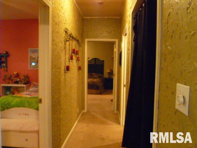 8687 Kinlou Road Kinmundy, IL 62854 - Photo 10 of 21 Gallery Image 10