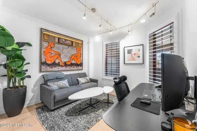 a living room with furniture or couch and a potted plant