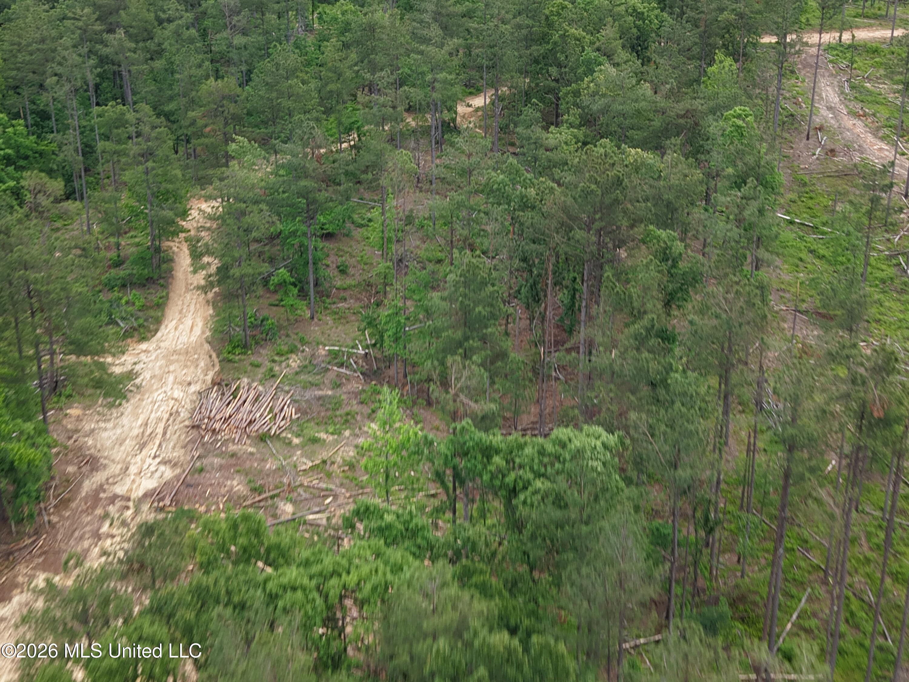 Graysport Crossing Road Gore Springs, MS 38929 - Photo 10 of 16 dji_fly_20260505_112436_0193_17797570173