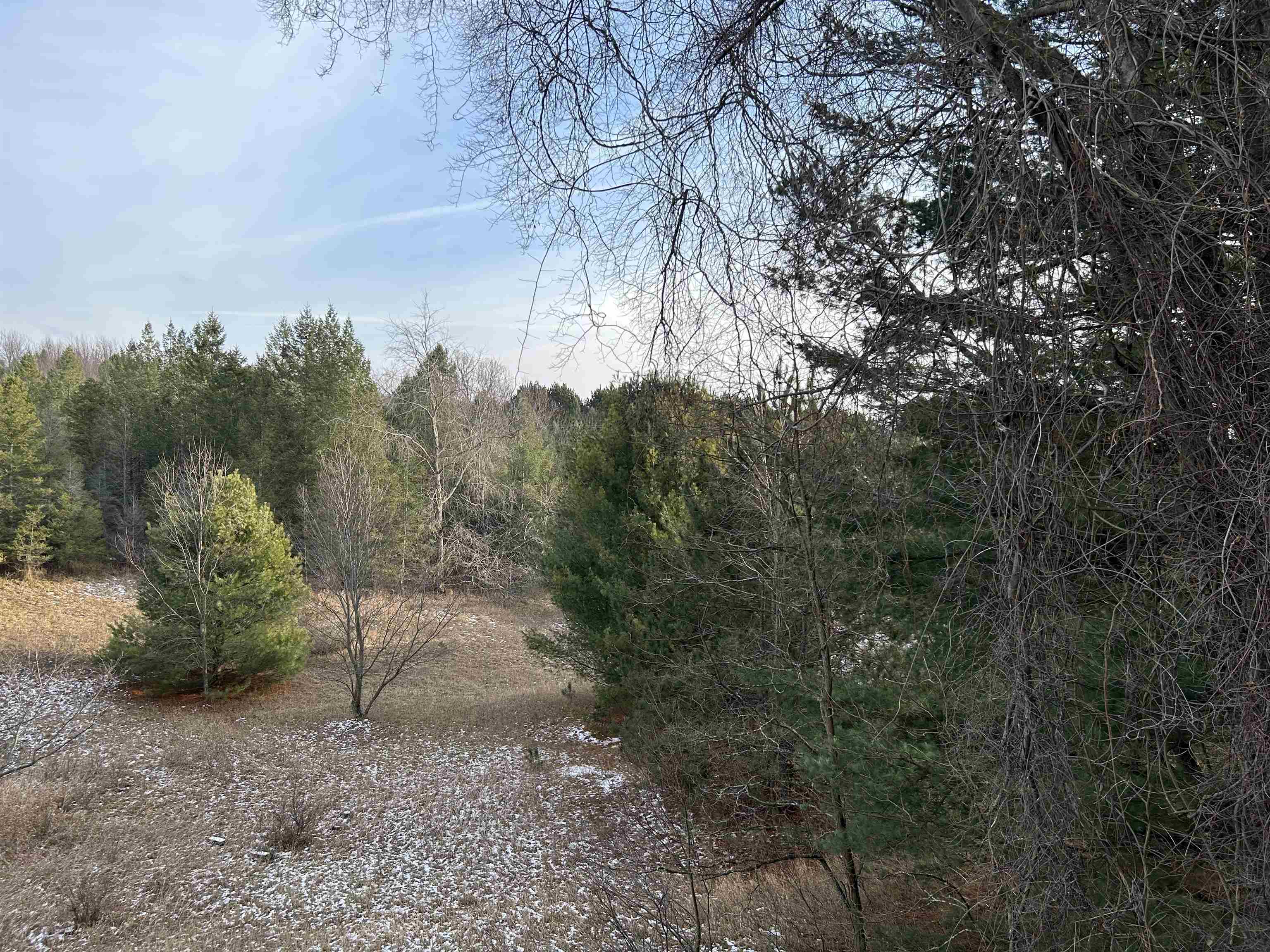 8950 West Stormer Road Empire, MI 49630 - Photo 36 of 37 1918081-a4d7c1cb-80f2-44cc-bced-3ac72c1c6ec3.JPG