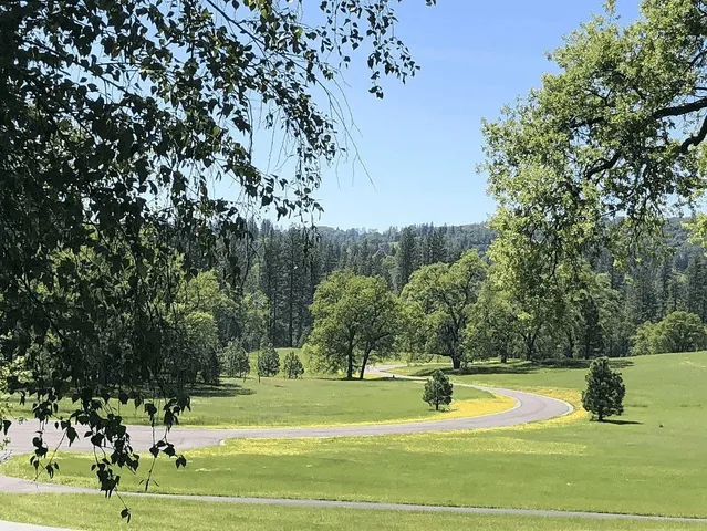 a view of a swimming pool with yard