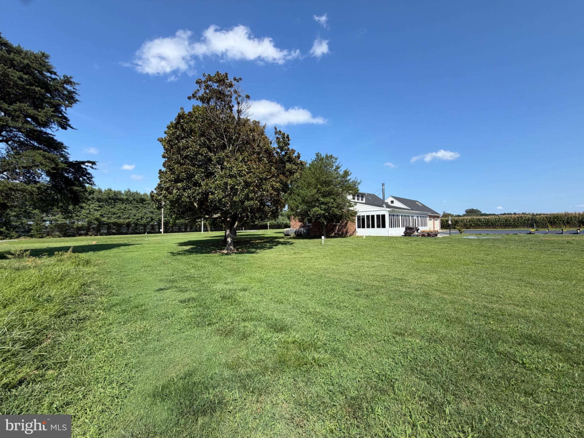 746 Hope Road Centreville, MD 21617 - Photo 8 of 27 Back corner of lot