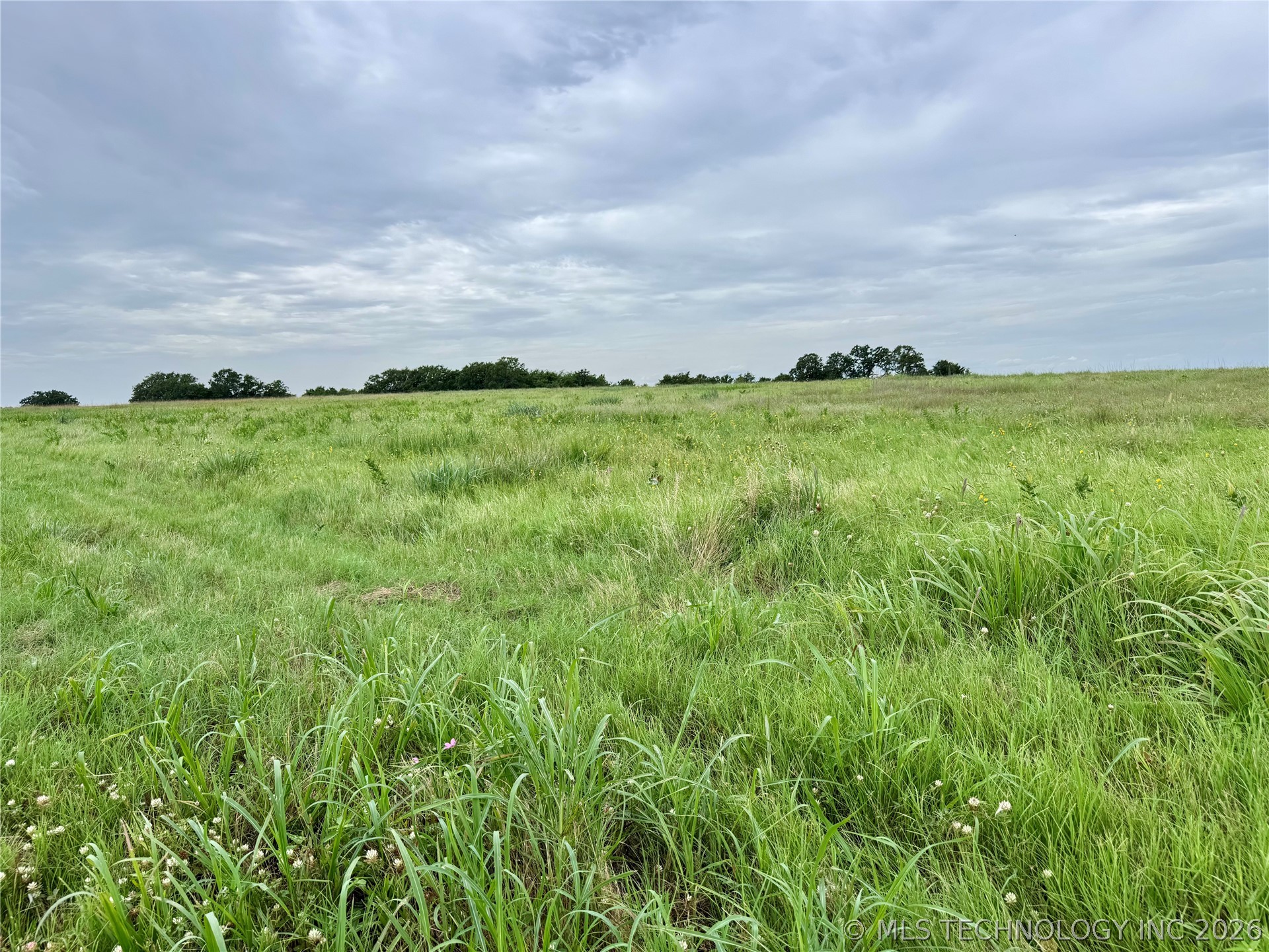 3689 No Man Road Healdton, OK 73438 - Photo 15 of 40 Gallery Image 15