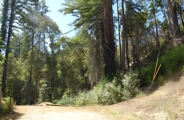 $99,000 | 14965 Virginia Avenue, Boulder Creek, CA 95006