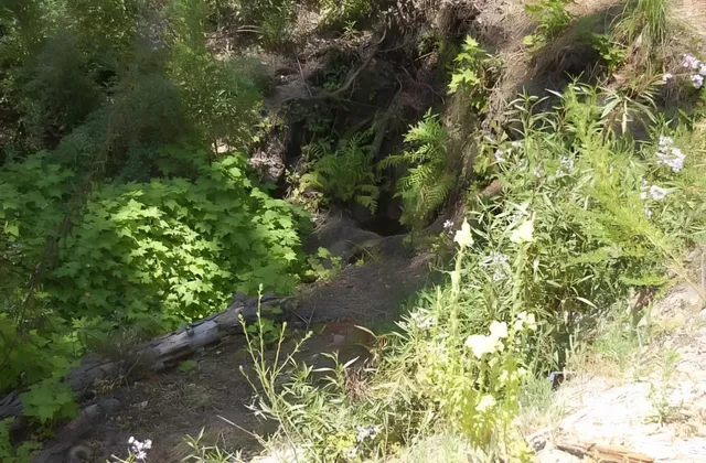 $99,000 | 14965 Virginia Avenue, Boulder Creek, CA 95006