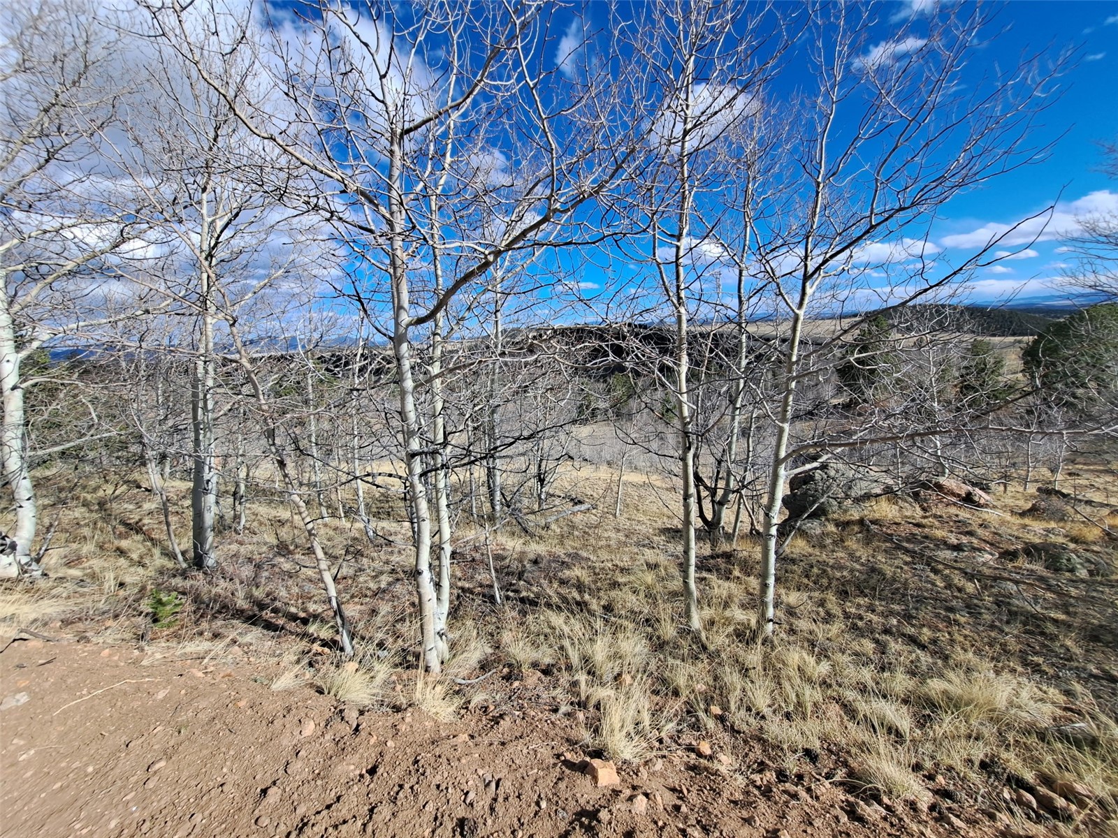 908 Raven Way Como, CO 80432 - Photo 20 of 29