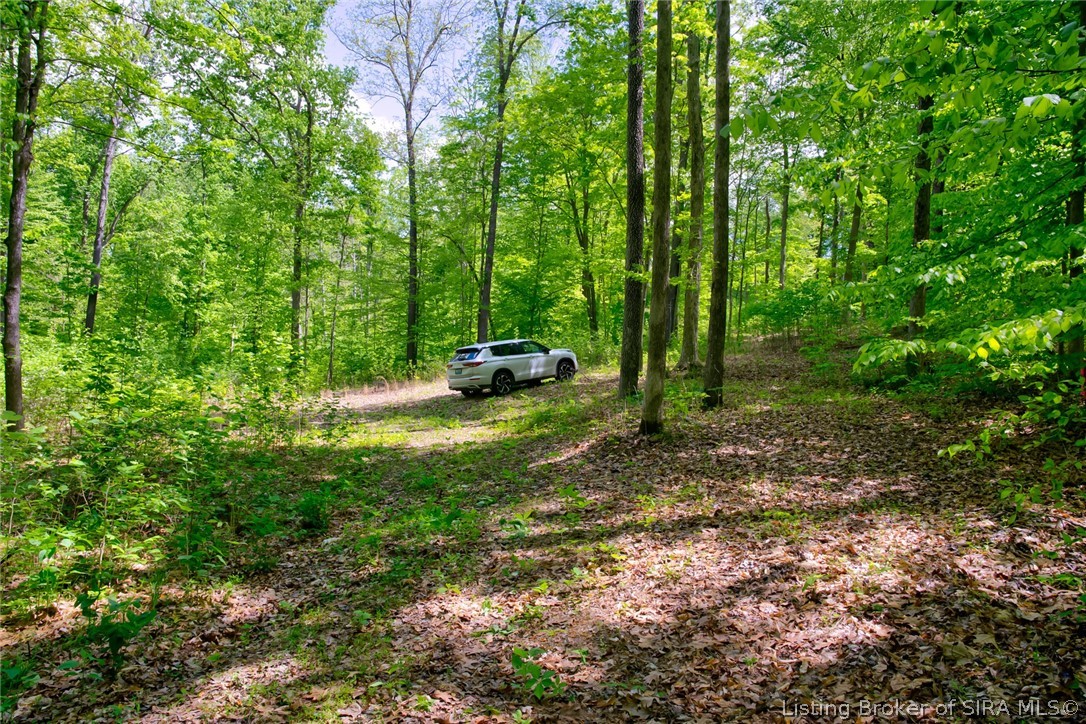 Otterbein Road Mauckport, IN 47135 - Photo 3 of 6 Park in Open Space
