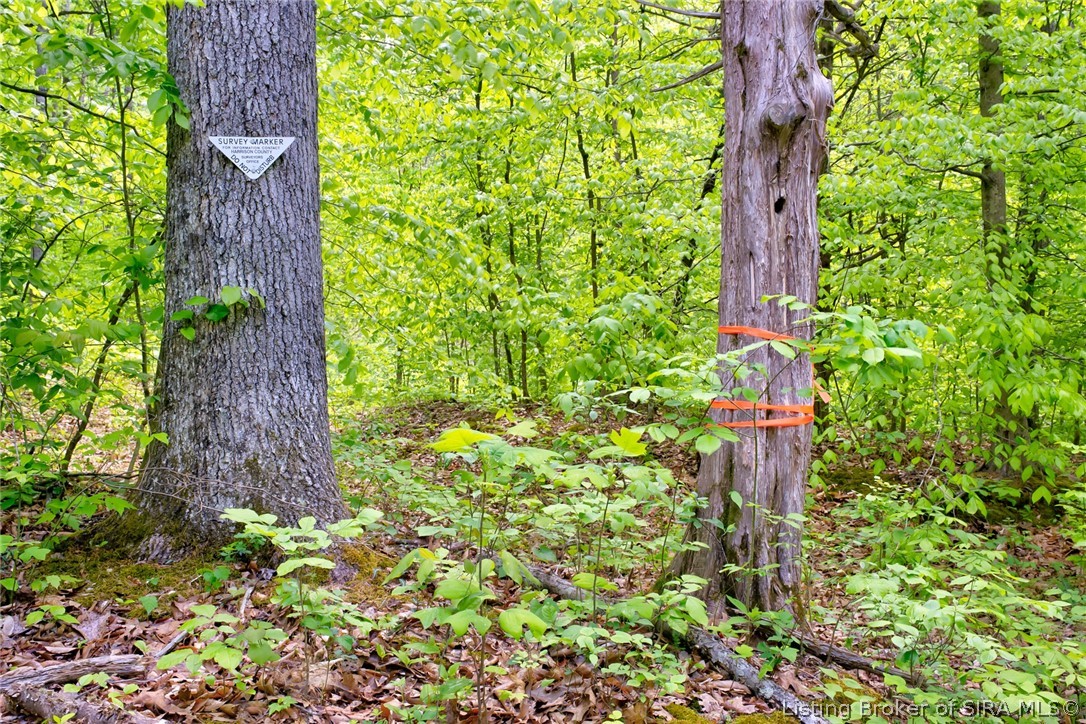 Otterbein Road Mauckport, IN 47135 - Photo 5 of 6