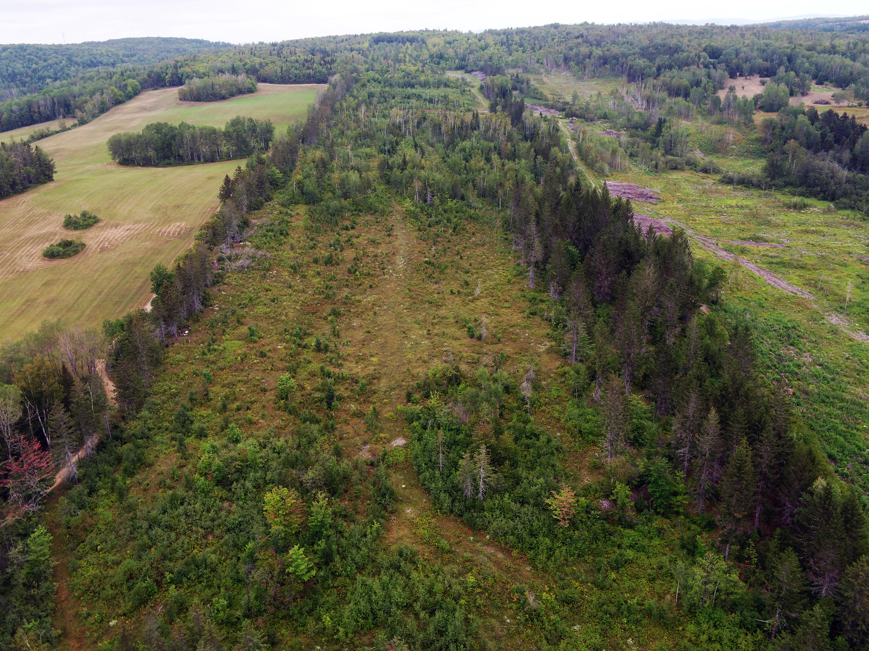 81 Starbarn Road Frenchville, ME 04745 - Photo 112 of 126 DJI_0041