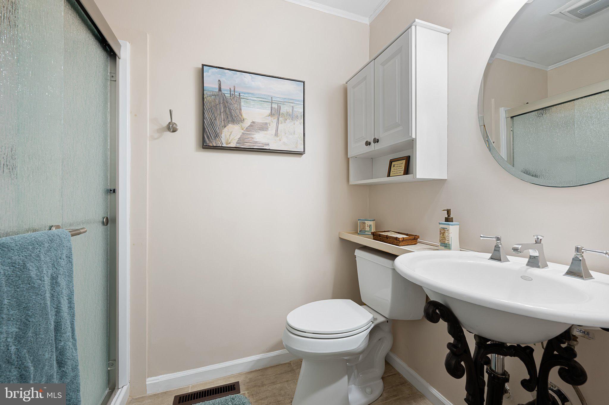 6401 Cedar Neck Road Milford, DE 19963 - Photo 34 of 42 Hall Bathroom with new Walk-in Shower