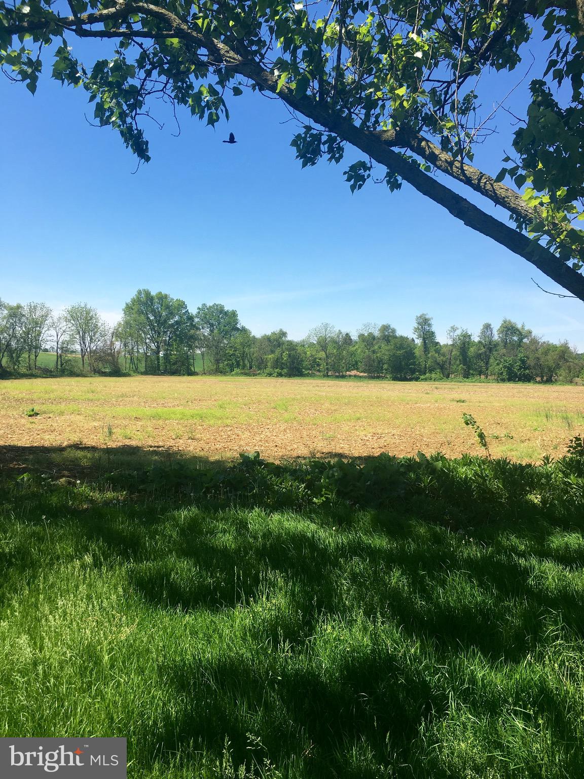 942 Old Topton Road Mertztown, PA 19539 - Photo 17 of 18 Farm fields to rear of the house