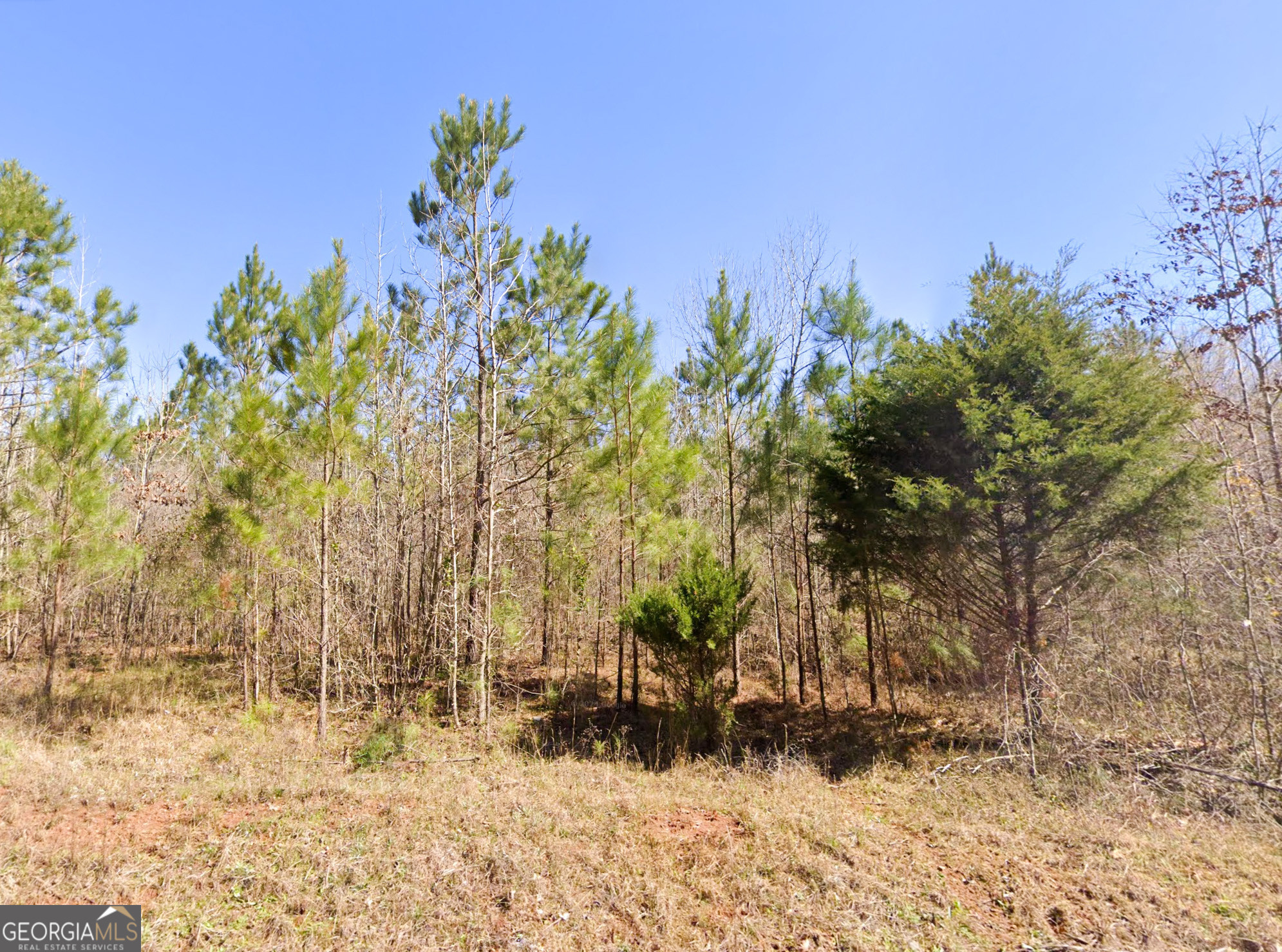 0 West Luke Road Temple, GA 30179 - Photo 1 of 1 Gallery Image 1