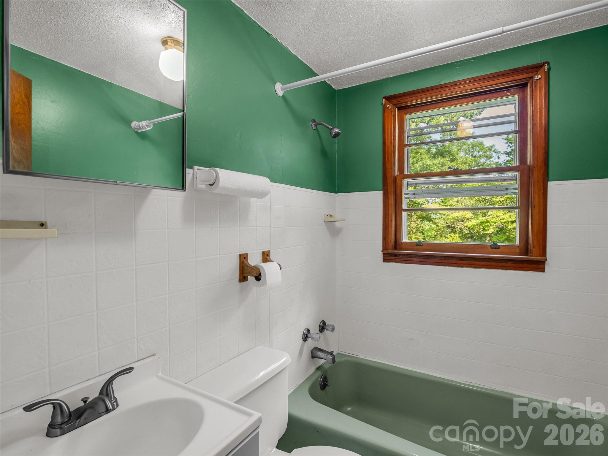 238 Howell Road Lake Lure, NC 28746 - Photo 18 of 34