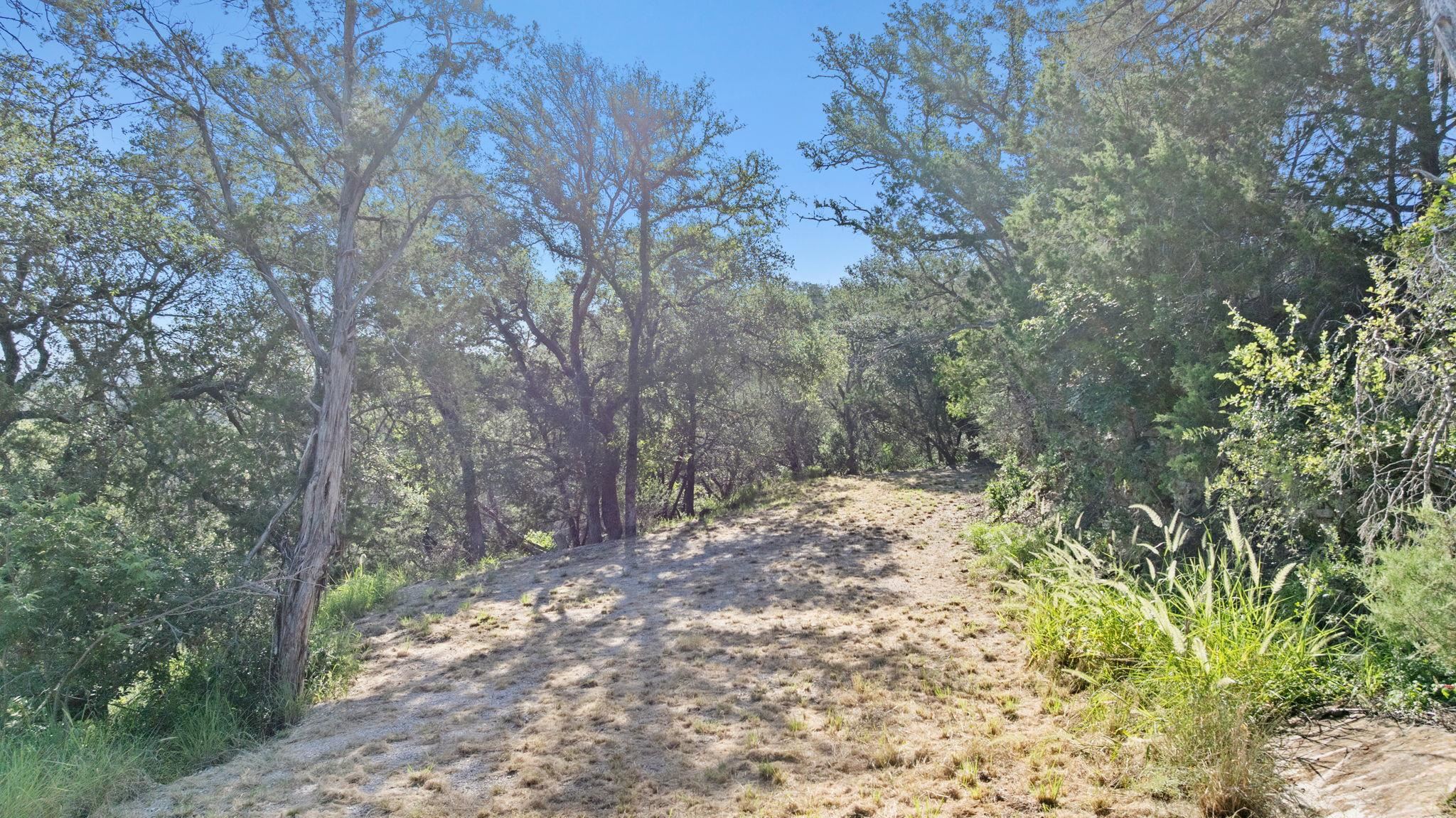 Tbd Sunset Cliff Road Burnet, TX 78611 - Photo 8 of 23 a view of a forest filled with trees