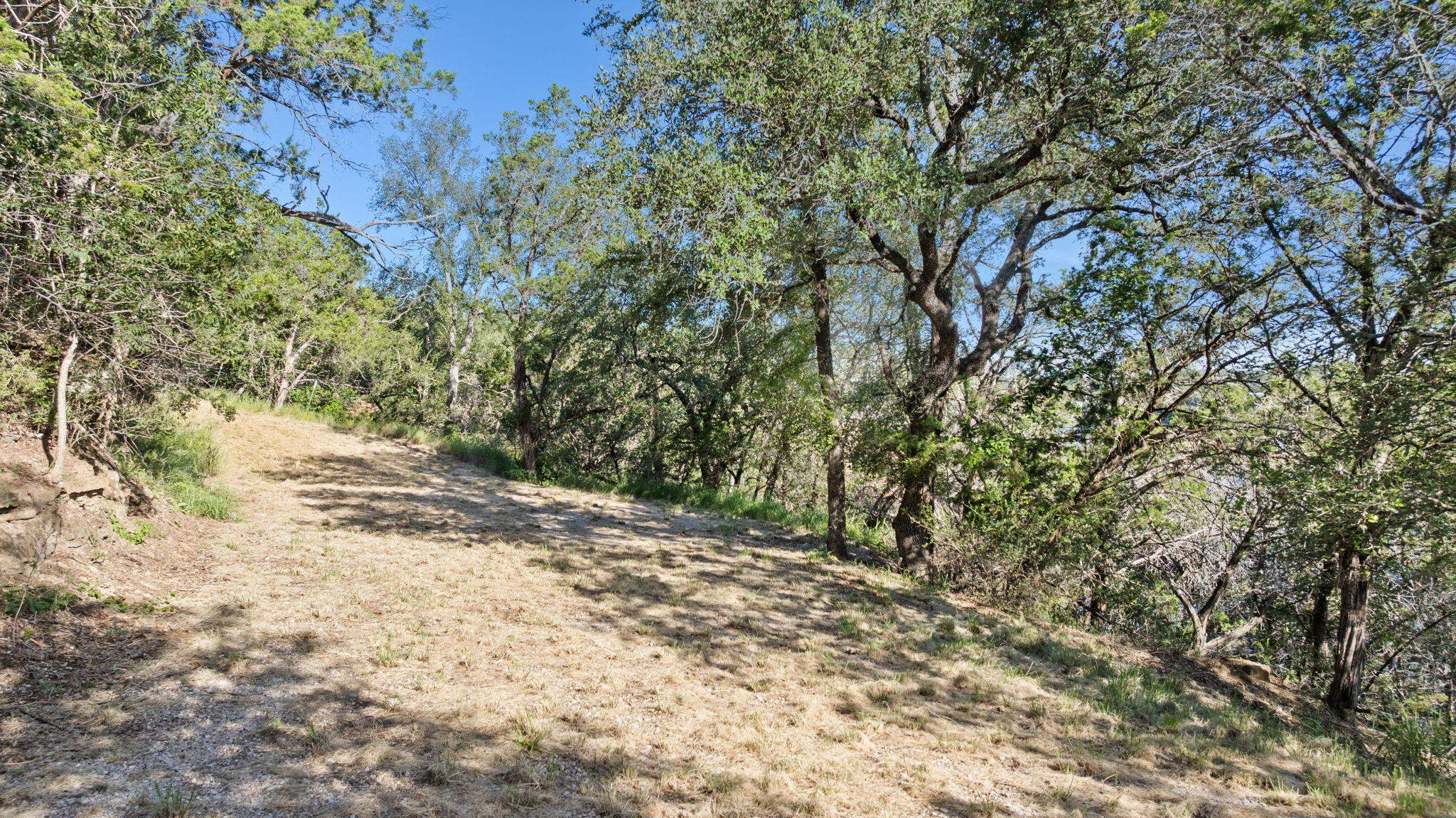 Tbd Sunset Cliff Road Burnet, TX 78611 - Photo 9 of 23 a view of a yard with a tree