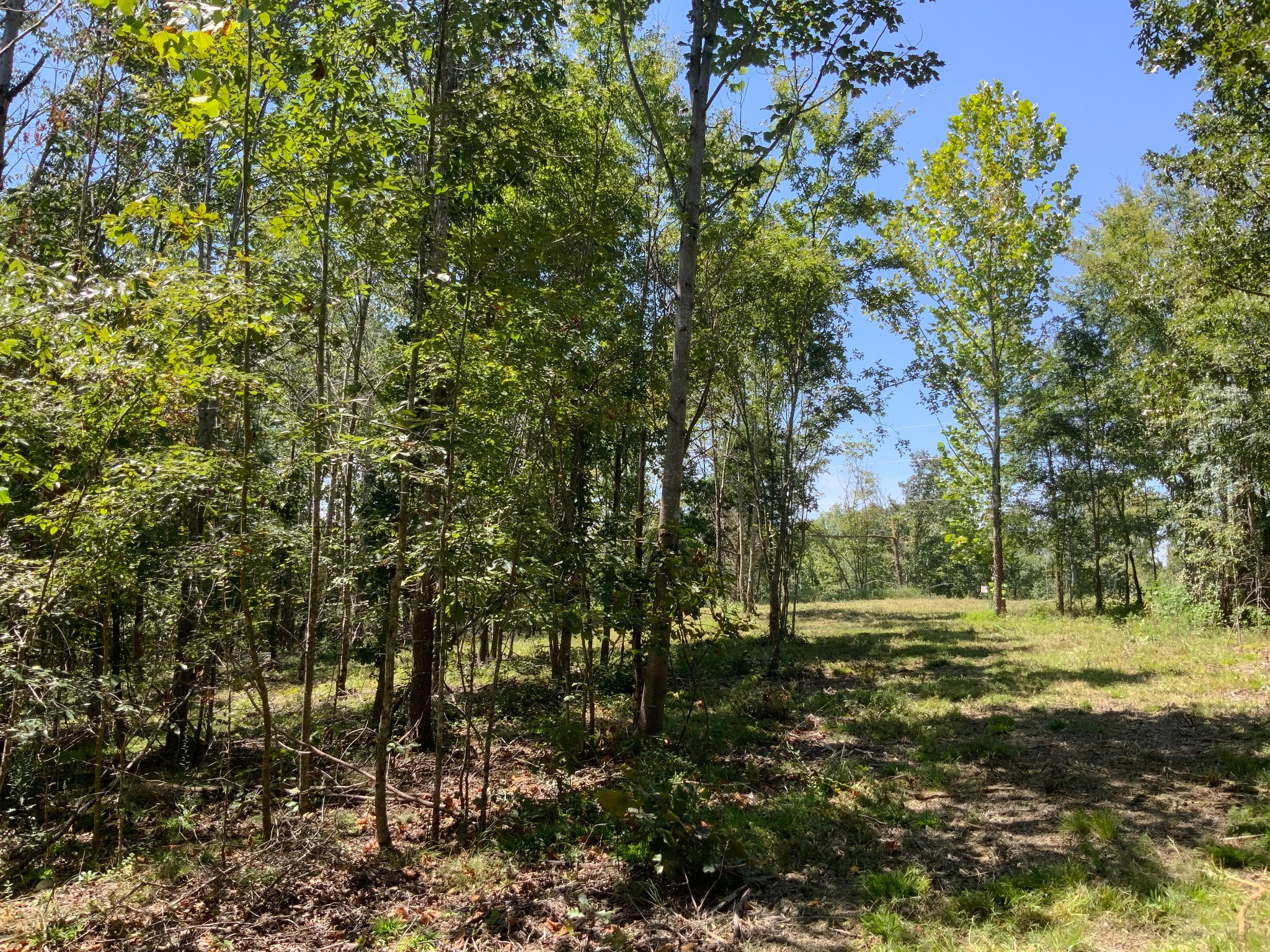 0 Streamside Drive Dover, TN 37058 - Photo 14 of 28 Gallery Image 14