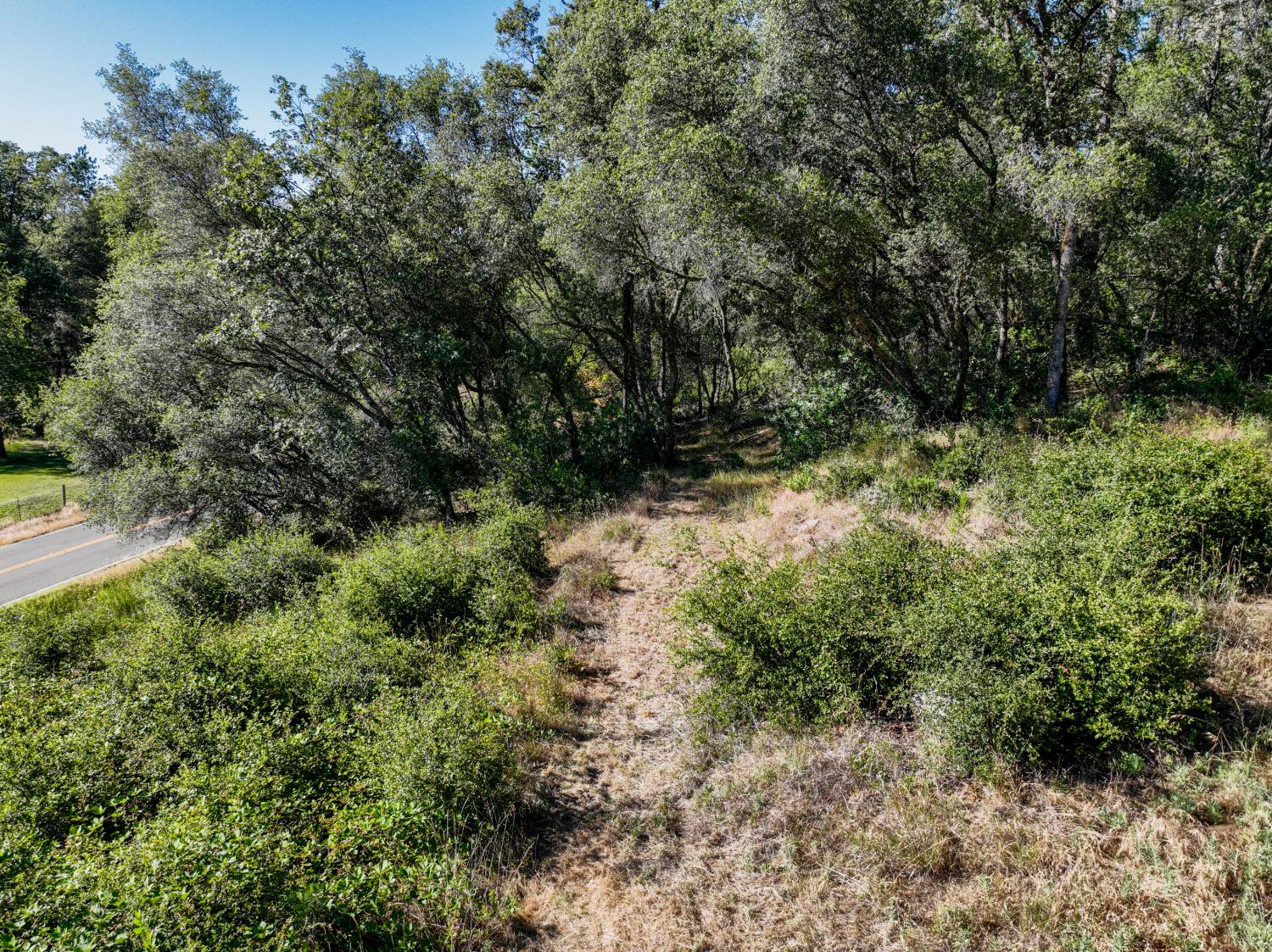 16970 Southridge Road Penn Valley, CA 95946 - Photo 8 of 45