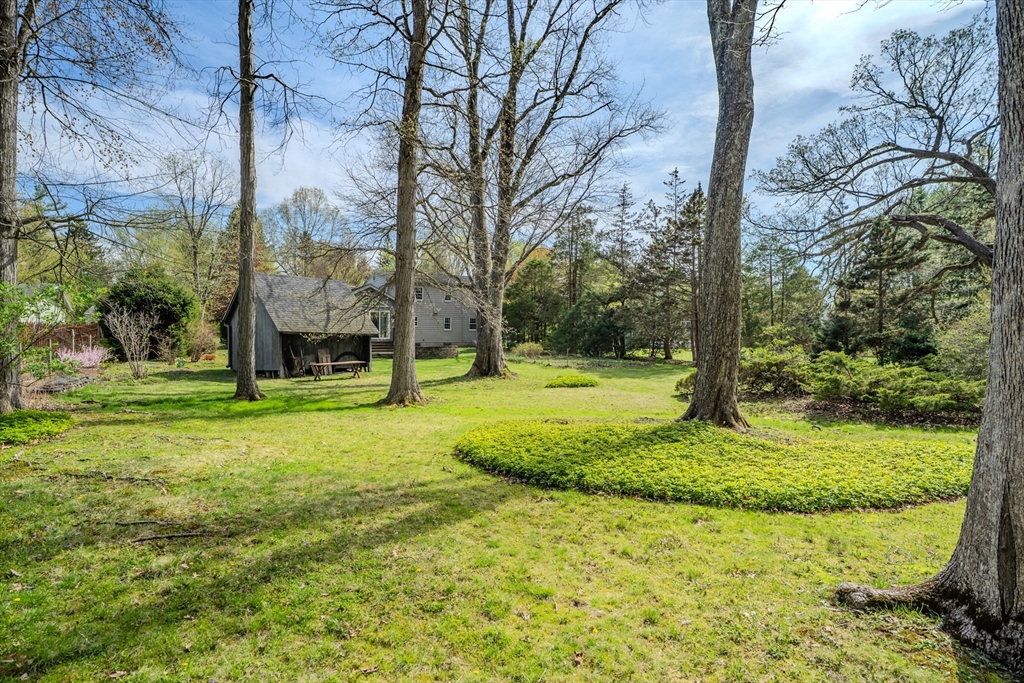 199 Glendale Road Amherst, MA 01002 - Photo 14 of 42 a view of a trees in front of a tree