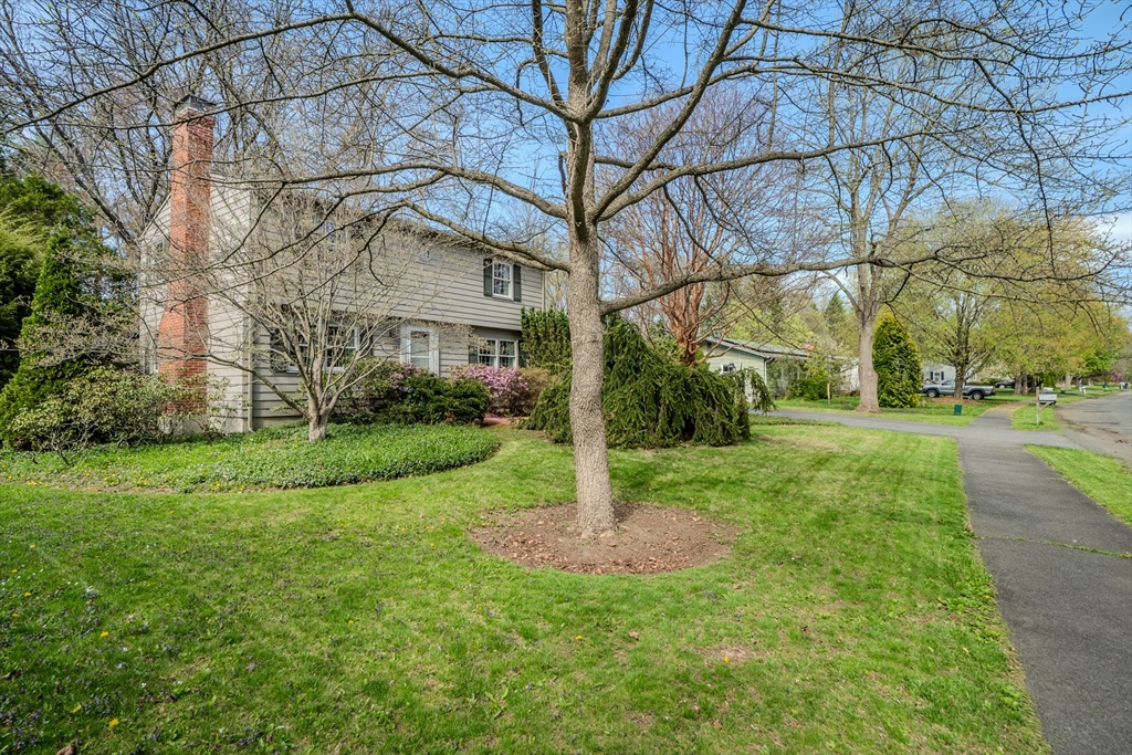 199 Glendale Road Amherst, MA 01002 - Photo 2 of 42 a view of a white house next to a yard with big trees