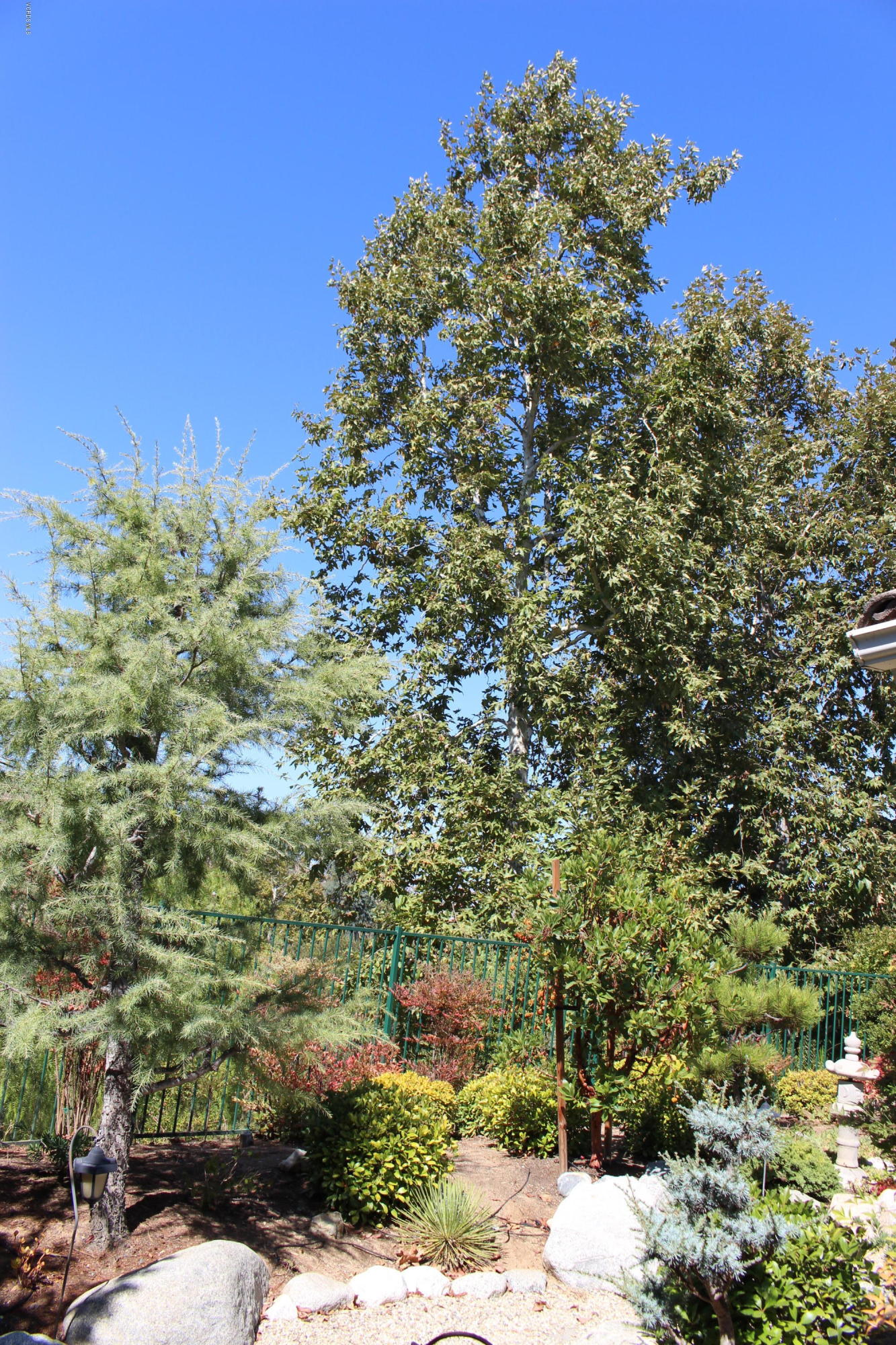 605 Galloping Hill Road Simi Valley, CA 93065 - Photo 32 of 35 a view of a bunch of trees and bushes
