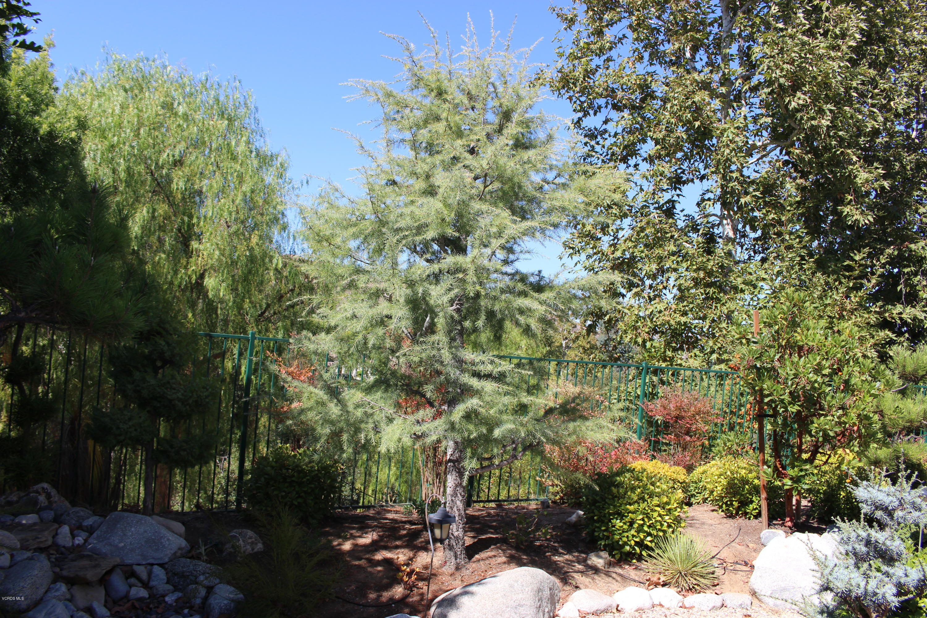 605 Galloping Hill Road Simi Valley, CA 93065 - Photo 33 of 35 a view of a garden with a tree