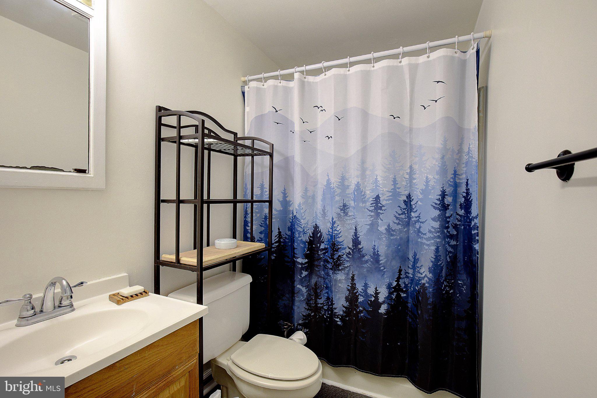 1111 Redeye Road Lusby, MD 20657 - Photo 15 of 24 Serene forest-themed bathroom retreat.