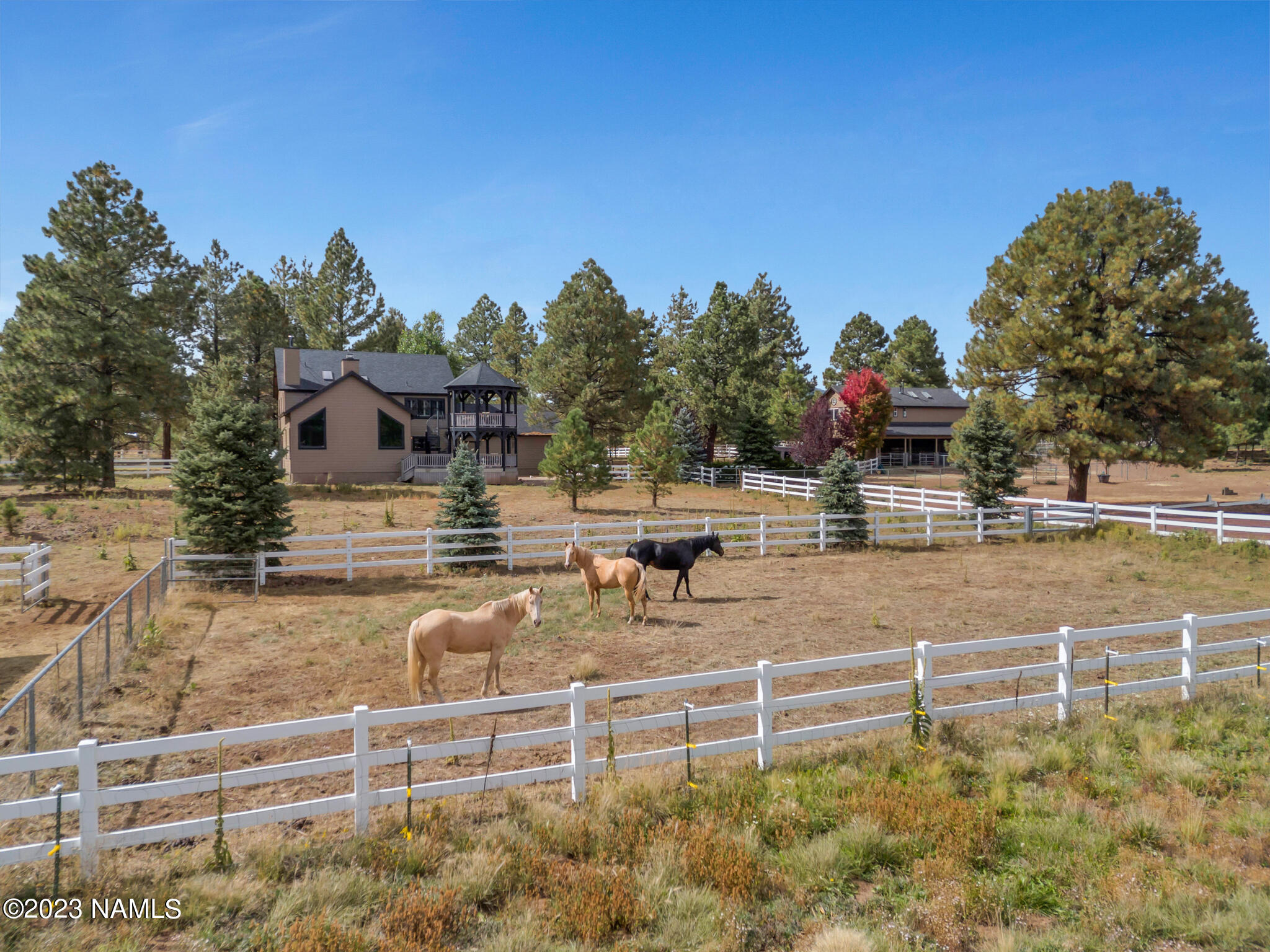 2587 Forest Ranches Loop Parks, AZ 86018 - Photo 3 of 66 TimberCreekImagery-10