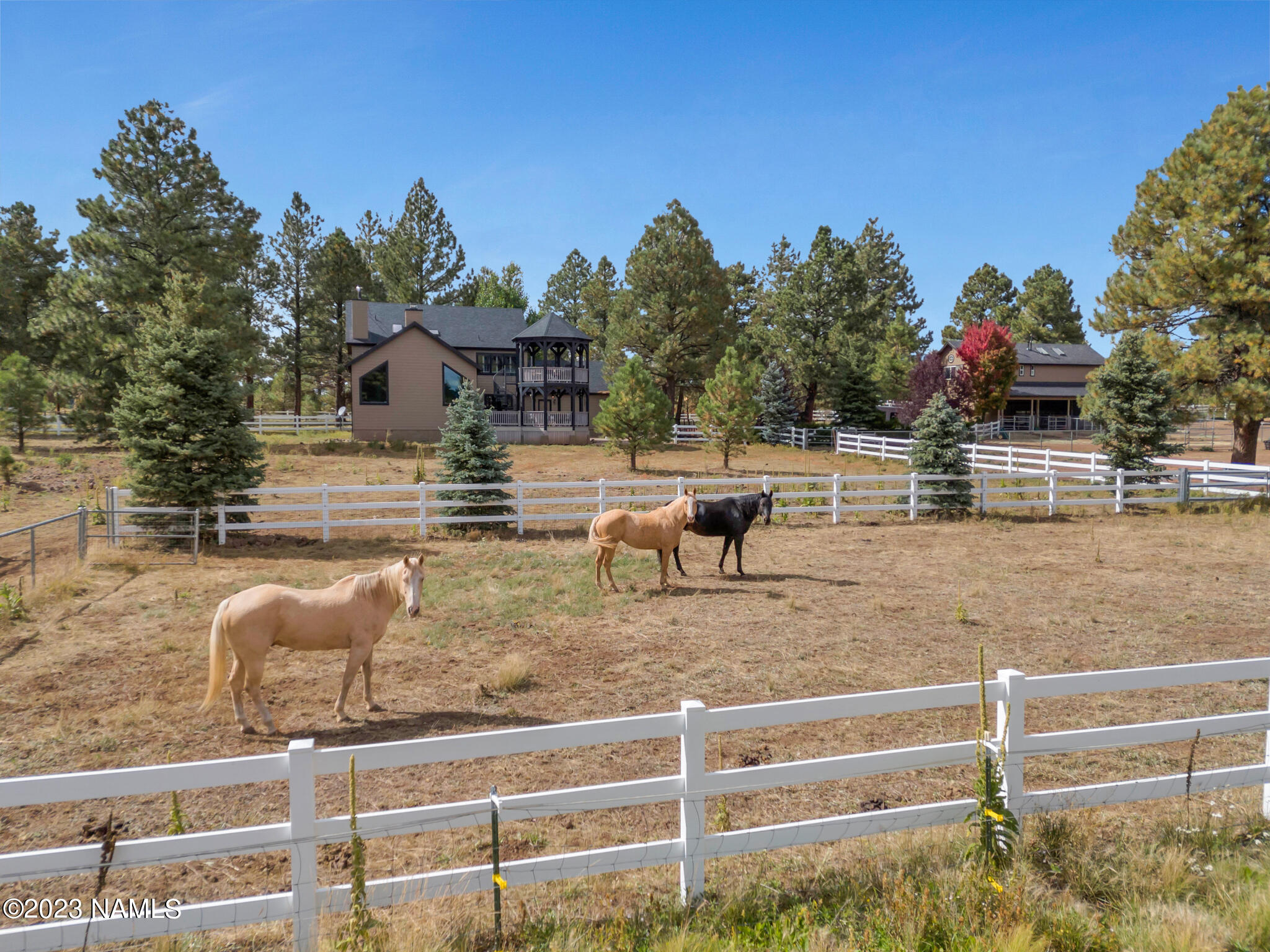 2587 Forest Ranches Loop Parks, AZ 86018 - Photo 4 of 66 TimberCreekImagery-11