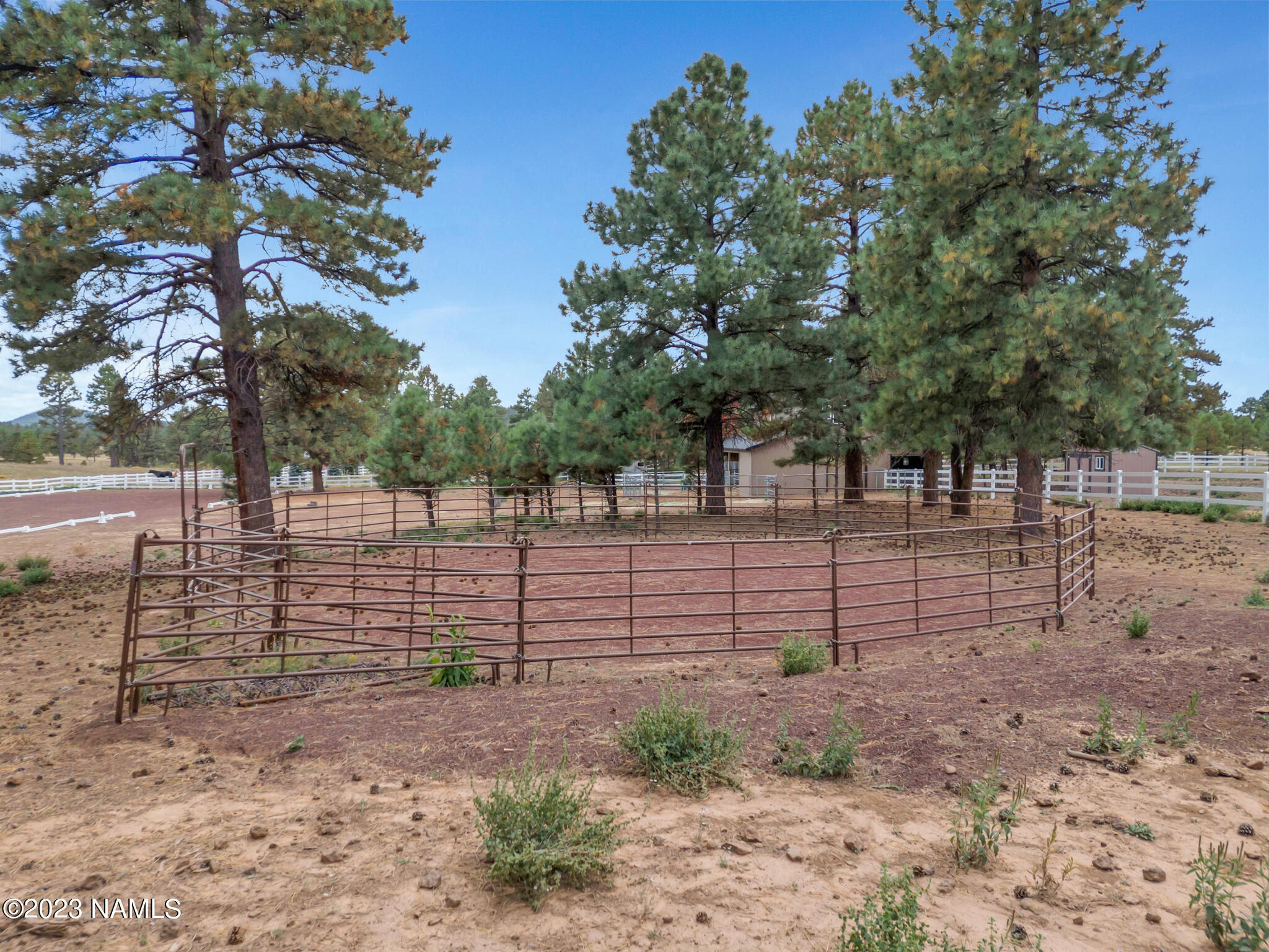 2587 Forest Ranches Loop Parks, AZ 86018 - Photo 55 of 66 TimberCreekImagery-17