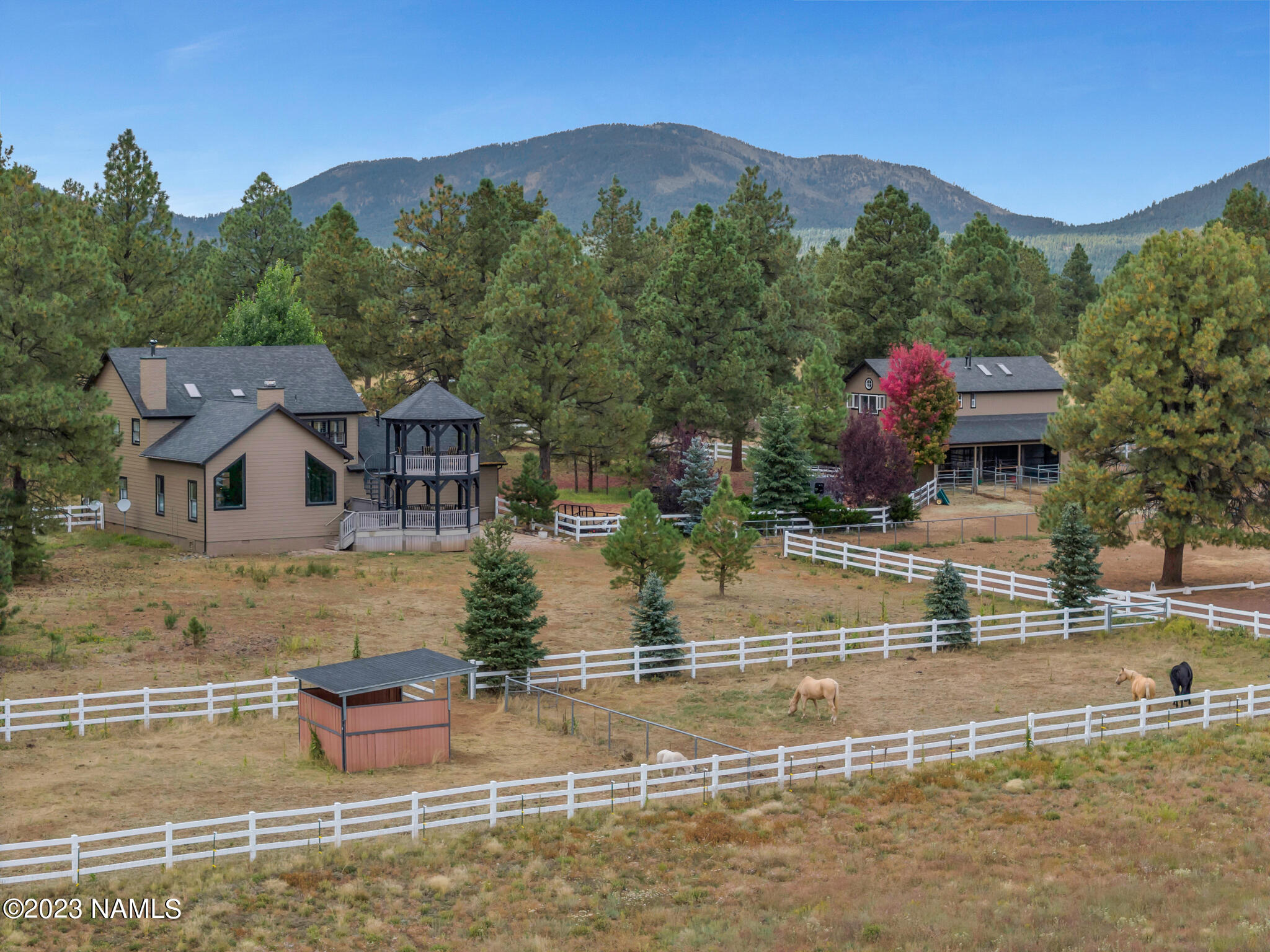 2587 Forest Ranches Loop Parks, AZ 86018 - Photo 60 of 66 TimberCreekImagery-25