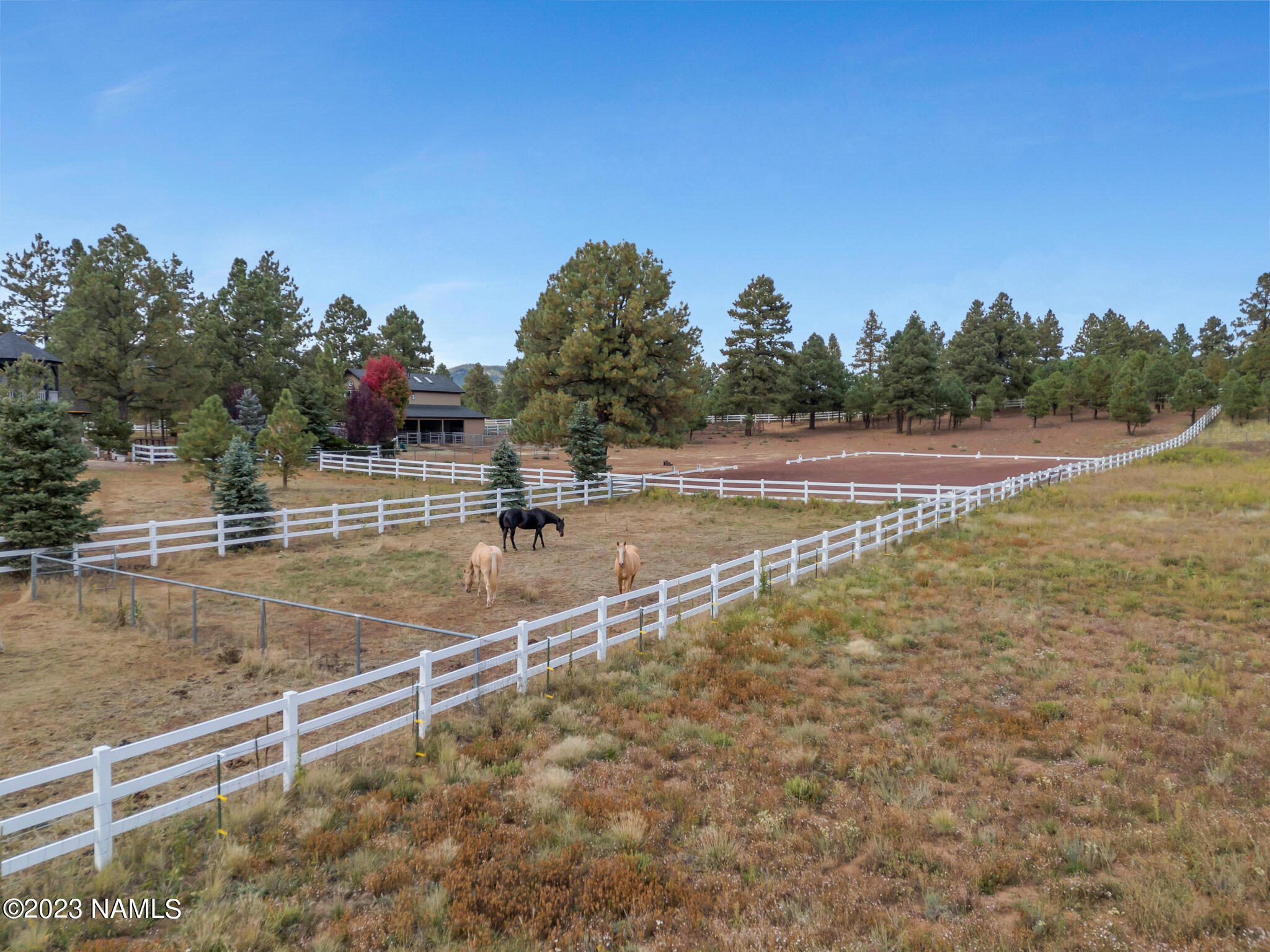 2587 Forest Ranches Loop Parks, AZ 86018 - Photo 63 of 66 TimberCreekImagery-13
