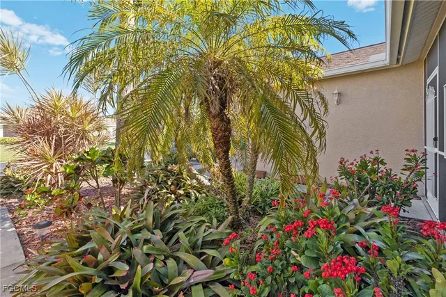 a flower plants in front of a house
