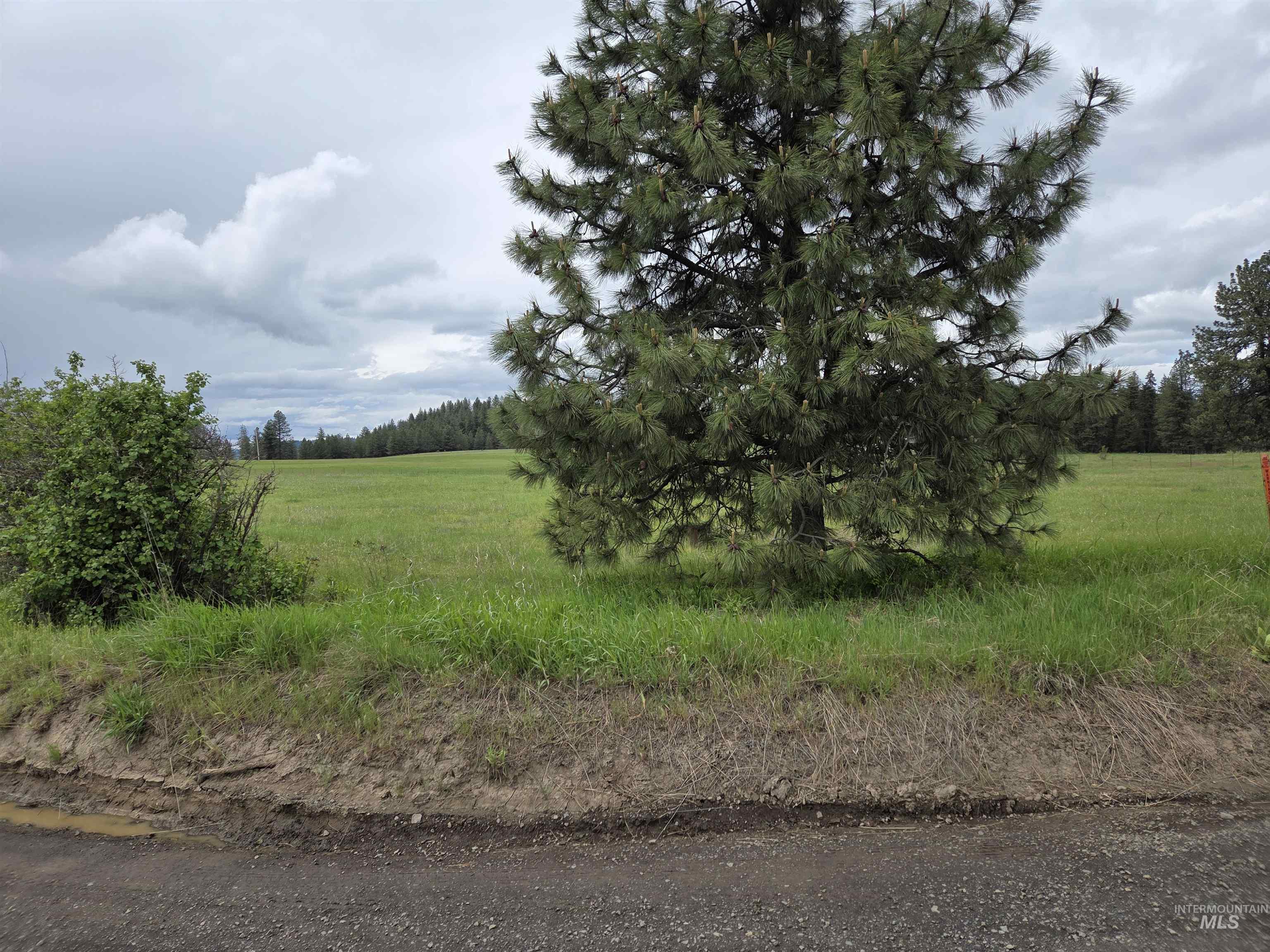 Tbd Canyon Creek Road Orofino, ID 83544 - Photo 1 of 1 Gallery Image 1