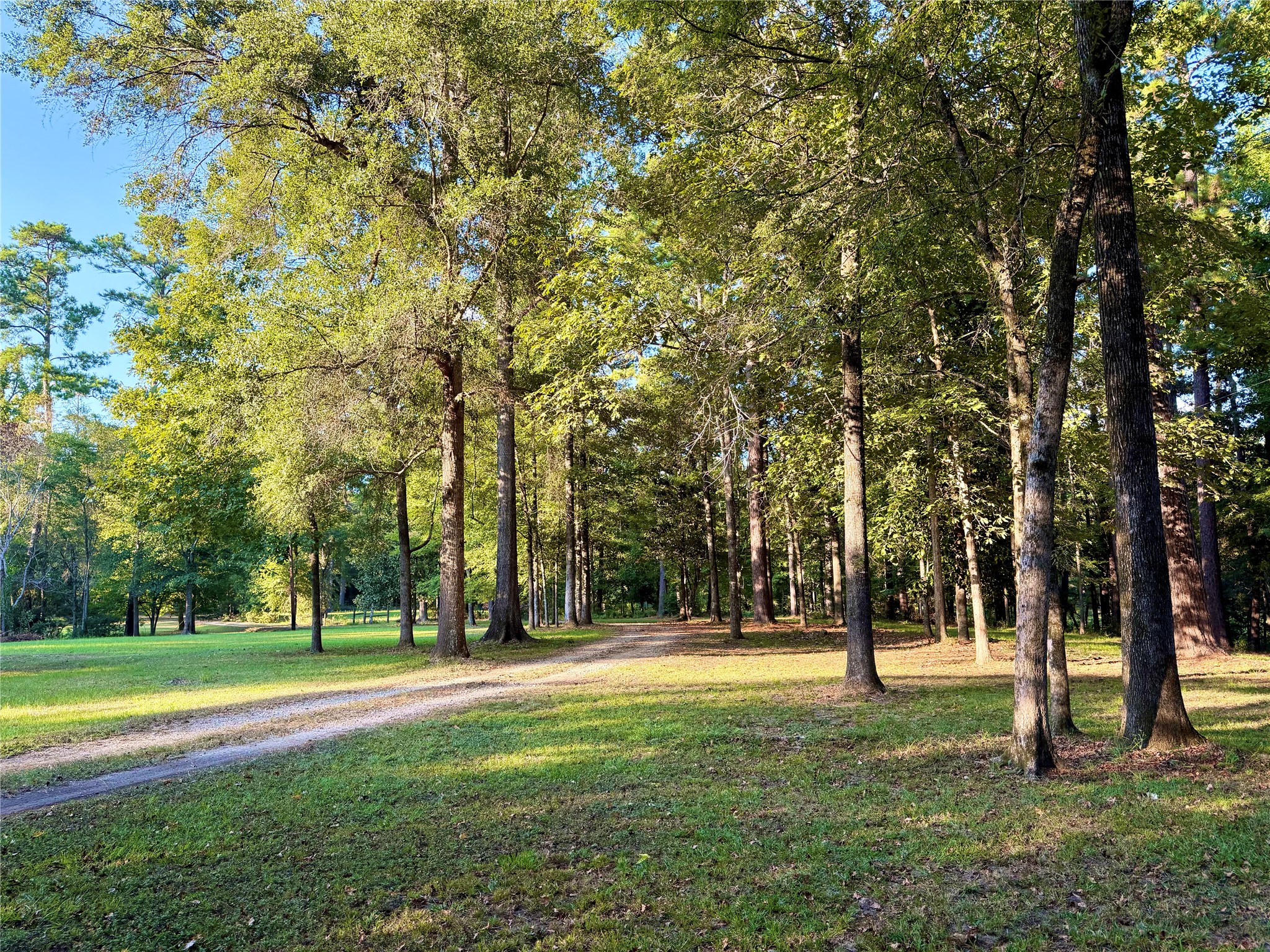 2721 Kelly Road Livingston, TX 77351 - Photo 13 of 36 Gallery Image 13