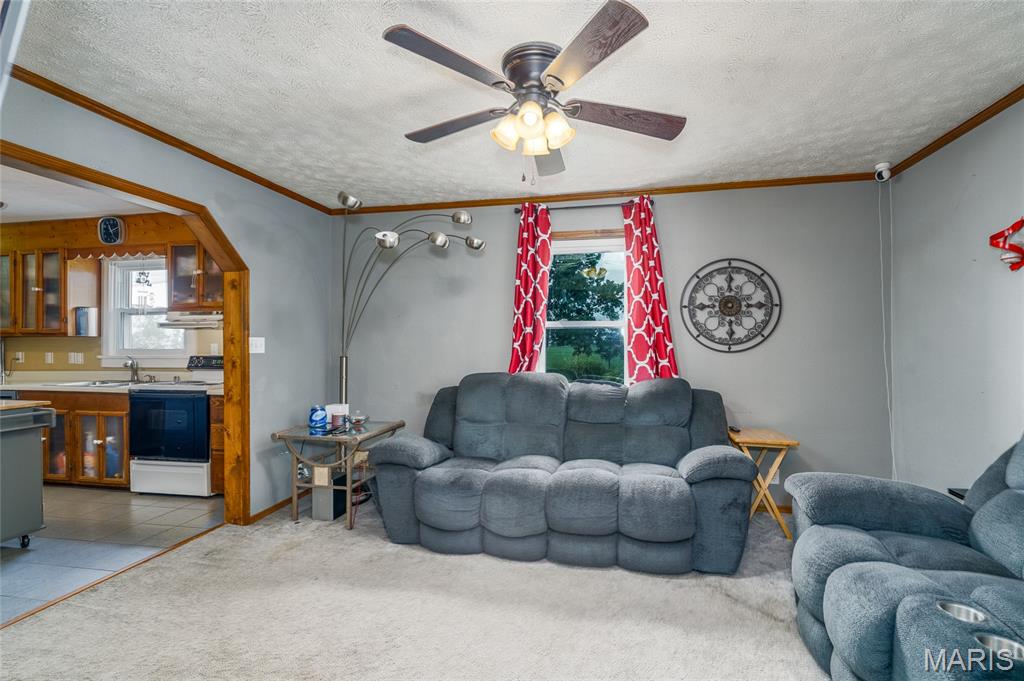 6015 State Rte 4 Mascoutah, IL 62258 - Photo 34 of 67 Gallery Image 34