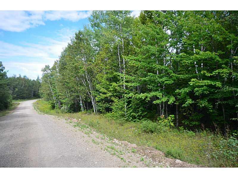 Lot 9 Lot Road Lakeville, ME 04487 - Photo 5 of 6 Land/Lot.