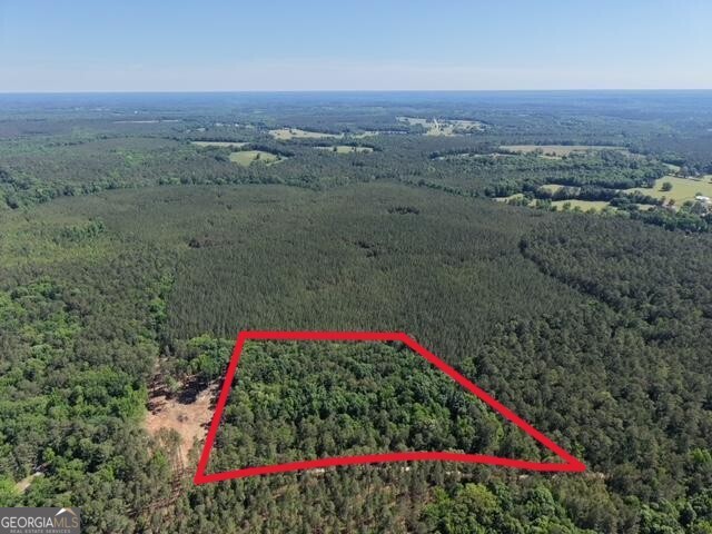 580 Saggus Road Washington, GA 30673 - Photo 2 of 54