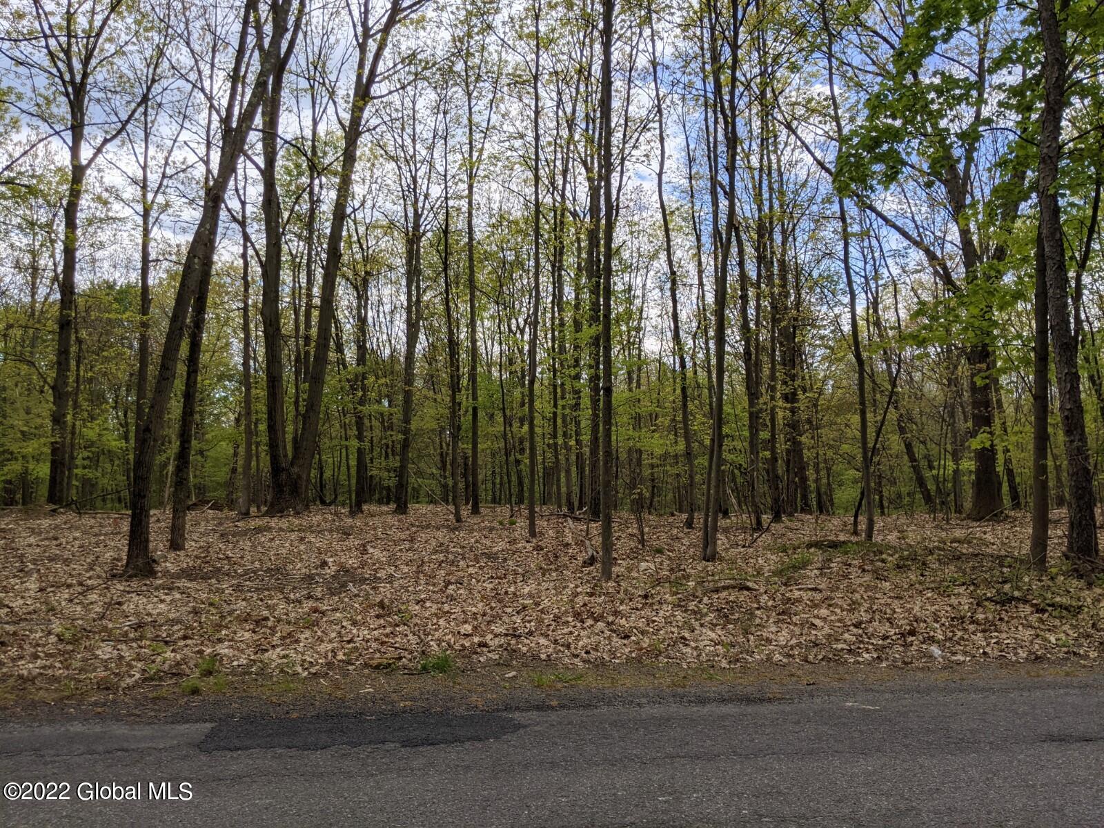 93 Liberty Road Brunswick, NY 12182 - Photo 1 of 1 Road view