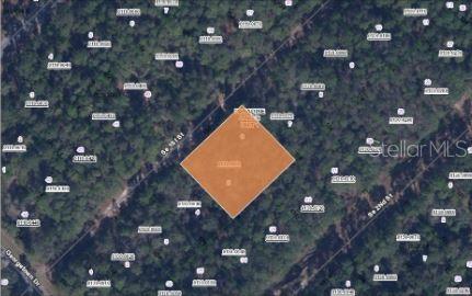 209 Southeast Paradise Lakes Georgetown, FL 32139 - Photo 2 of 6