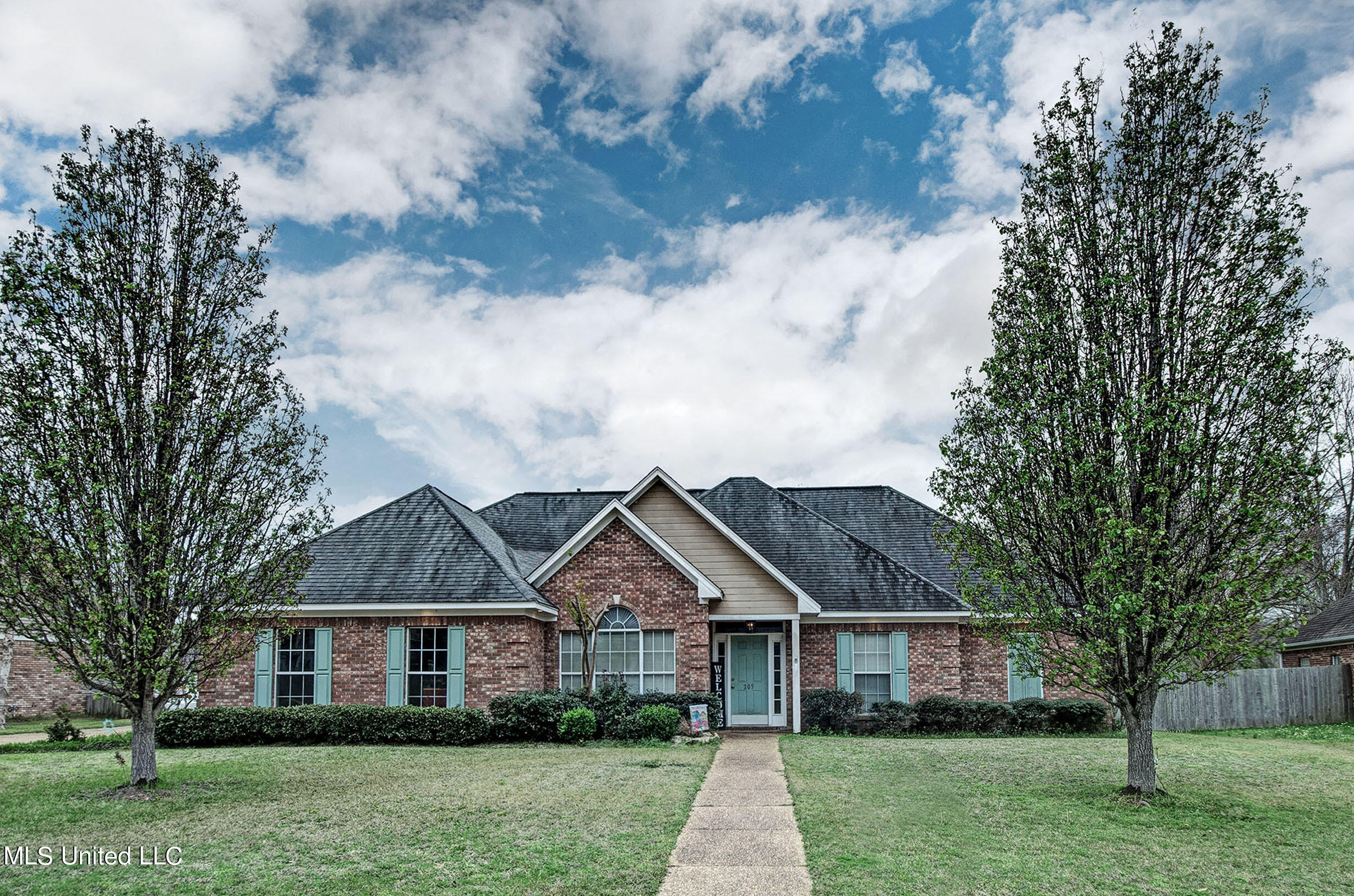 205 Cannon Ridge Drive Brandon, MS 39042 - Photo 1 of 30 IMGP3554_5_6_mod