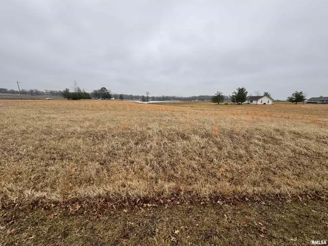 $8,500 | Lot 13 Dove Lane, Eldorado, IL 62930