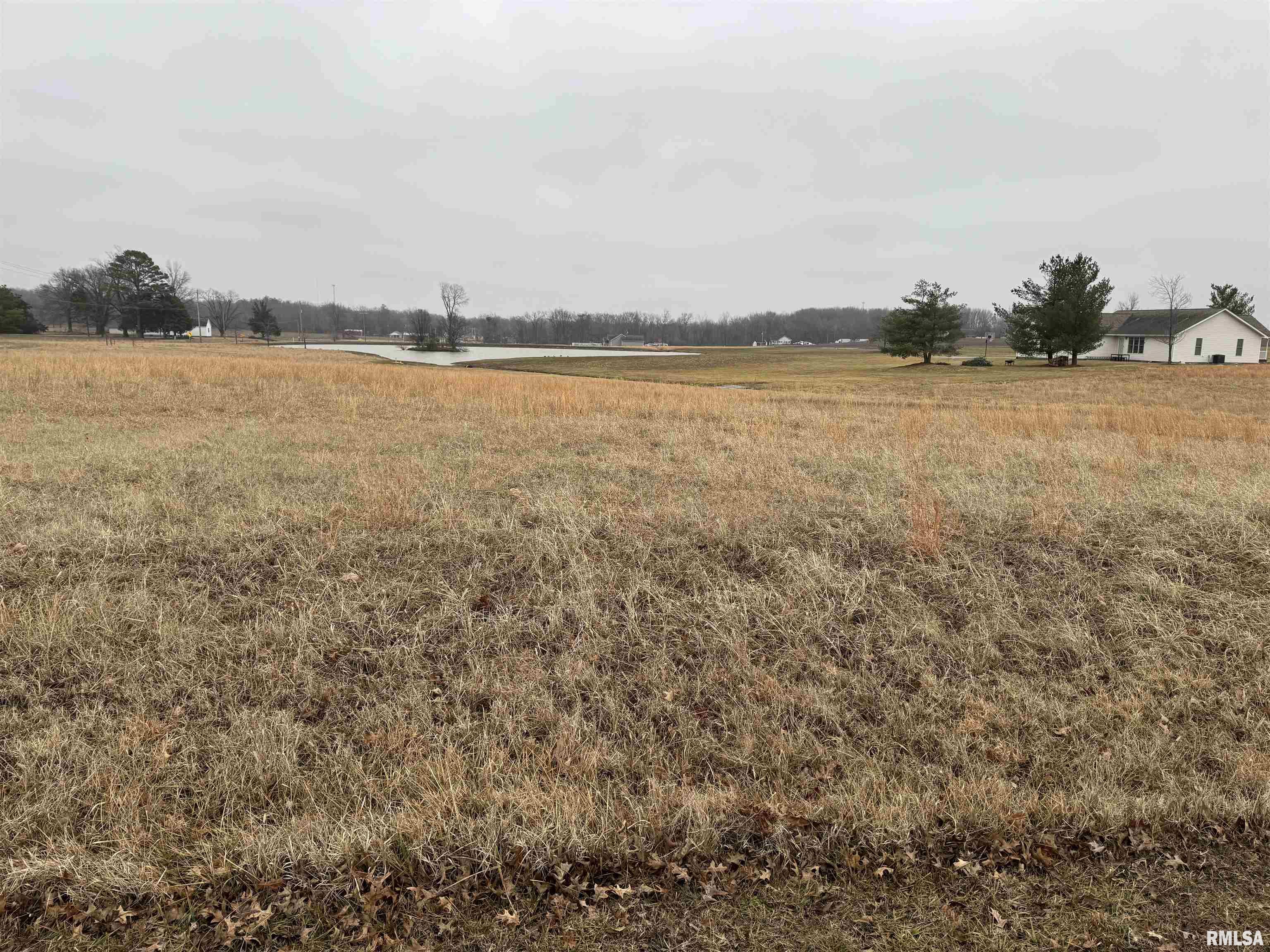 Lot 13 Dove Lane Eldorado, IL 62930 - Photo 2 of 3